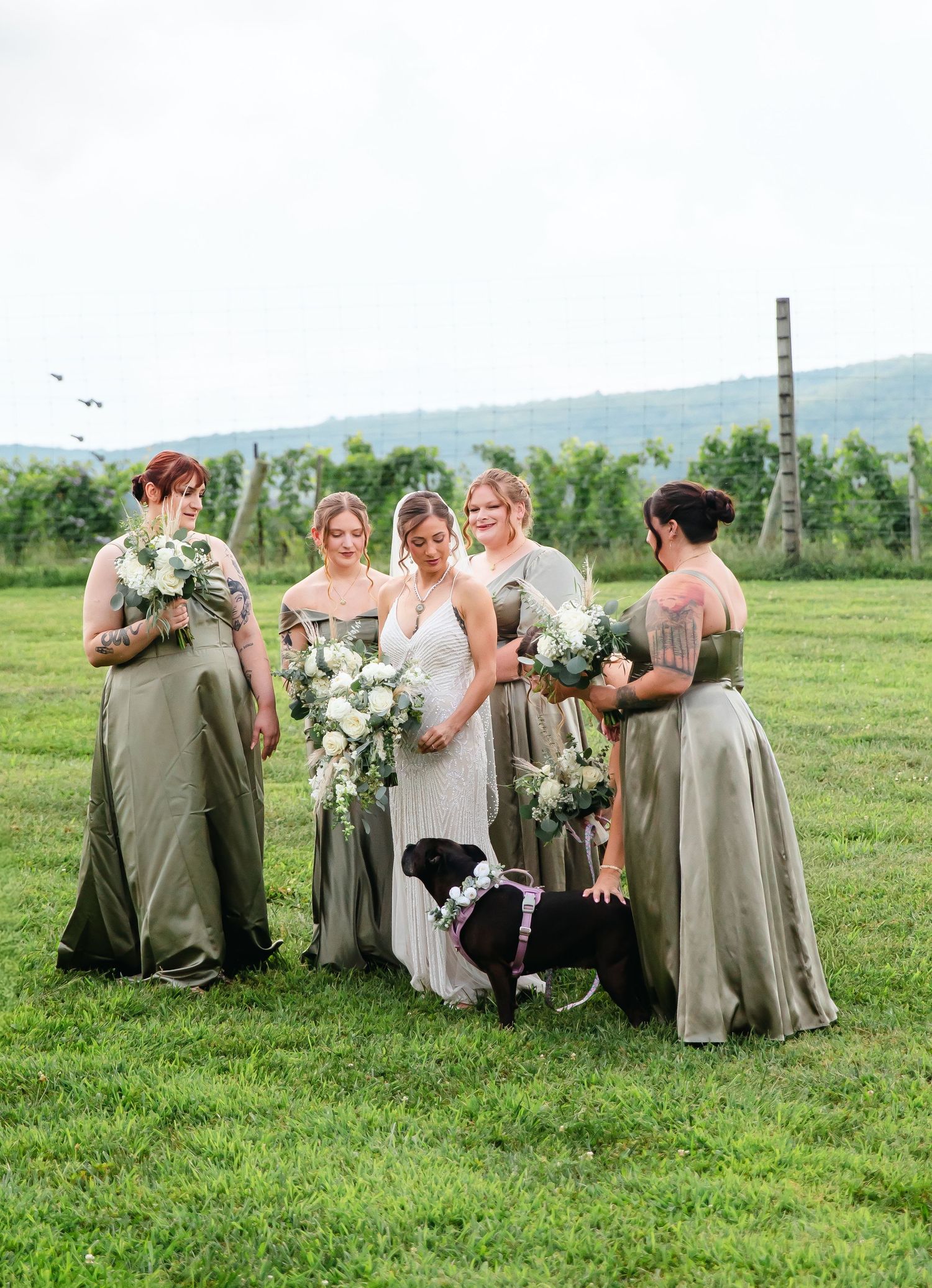 Bride and bridesmaids in sage green gowns holding white bouquets with a black dog at a vineyard wedding.