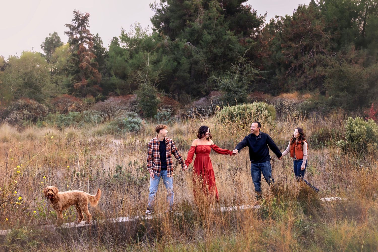 Family of four holding hands with a golden retriever dog in a scenic autumn field surrounded by lush green trees, Davis, California.