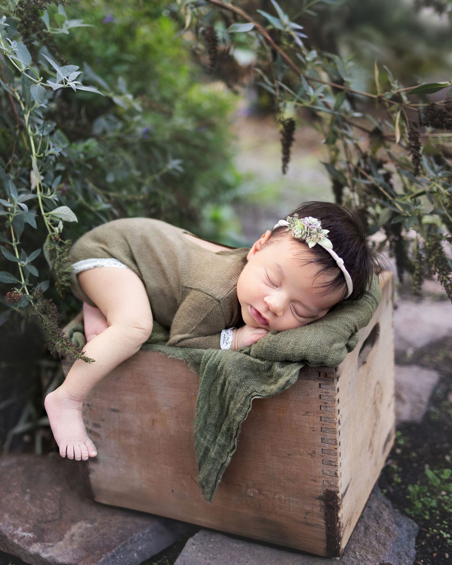Newborn baby girl sleeping in a wooden box surrounded by greenery outdoors, natural style photography in Vacaville California