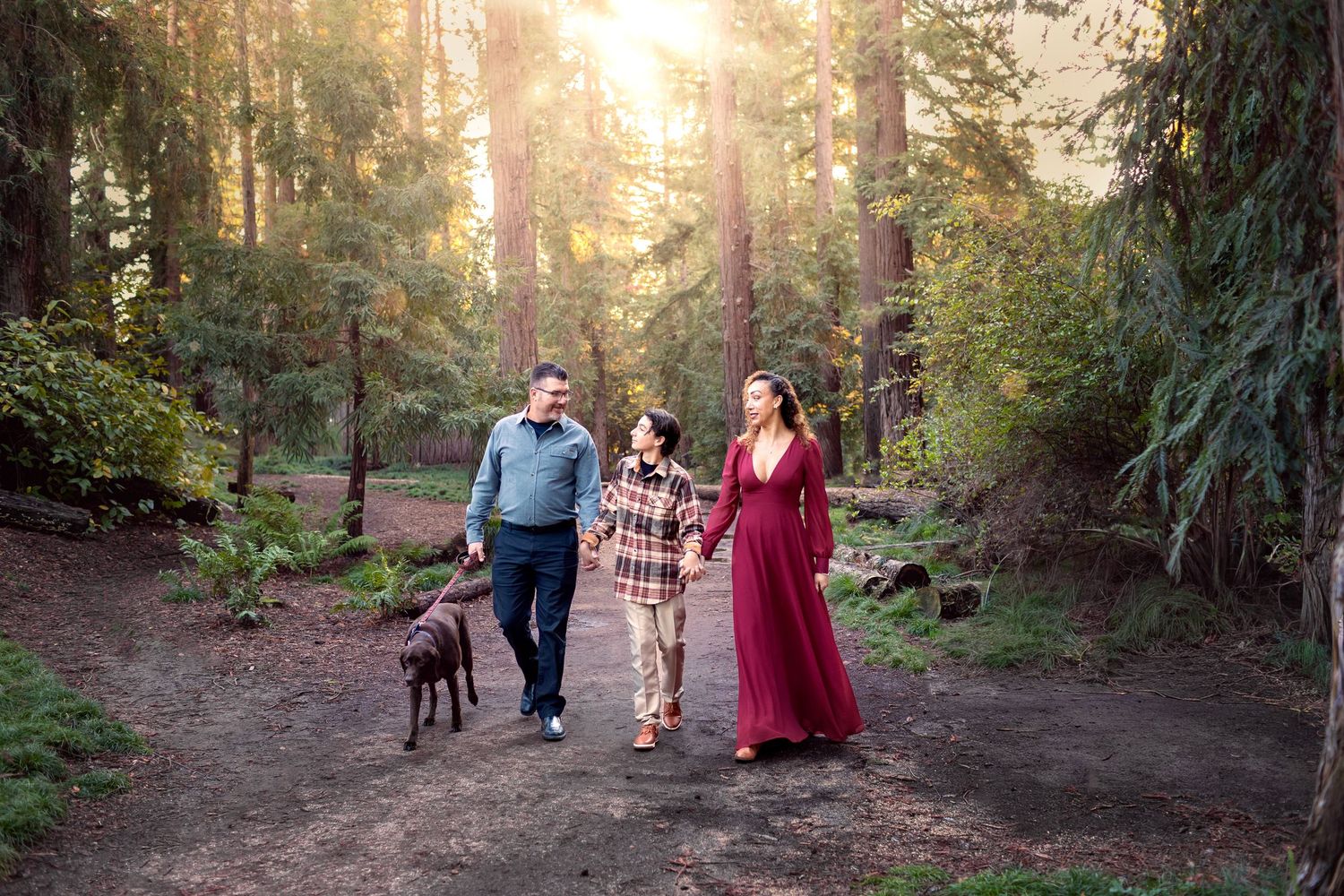 Family with dog walking on forest path in golden sunlight among tall trees.