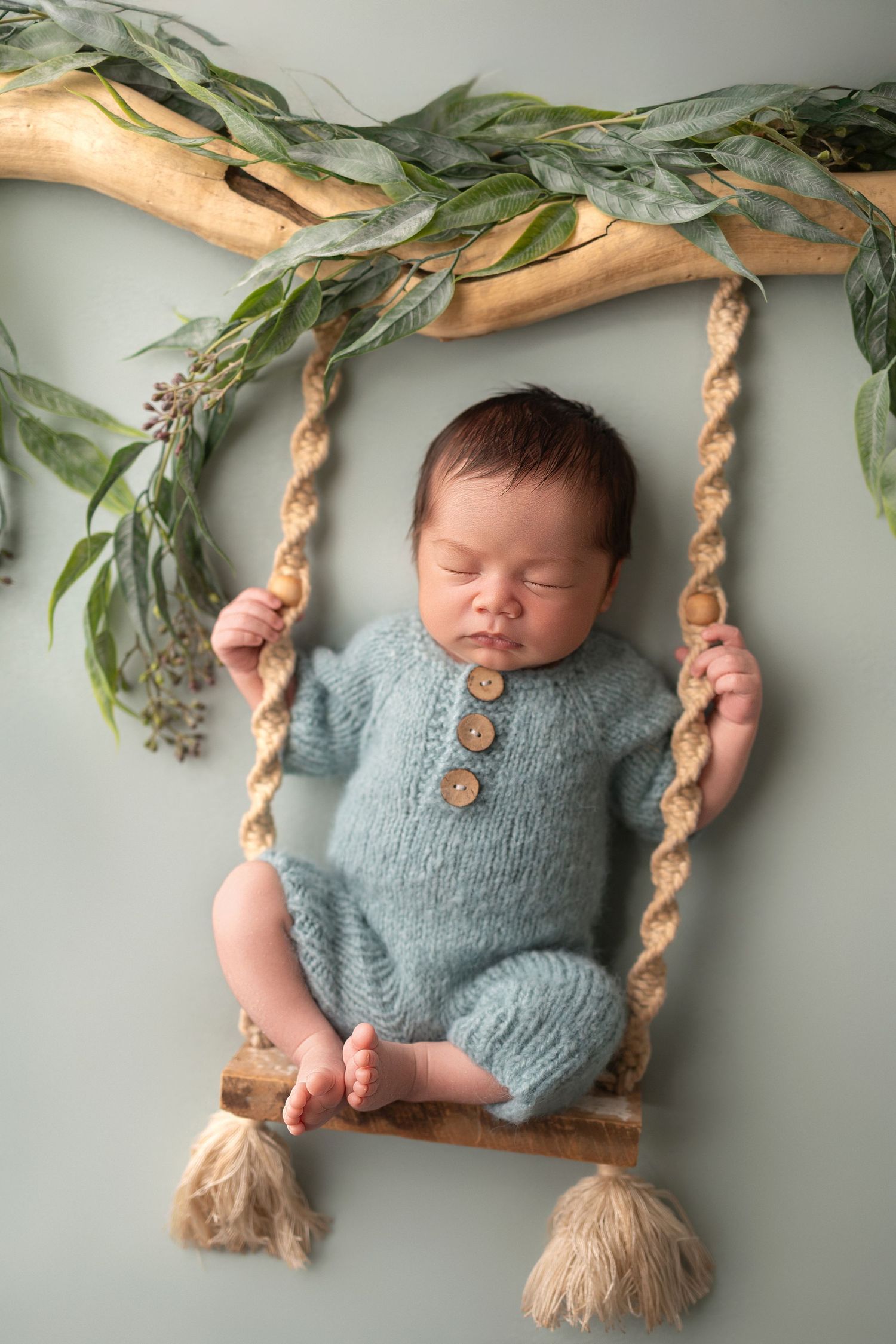 newborn-baby-boy-swing-greenery-boho-studio-vacaville-ca