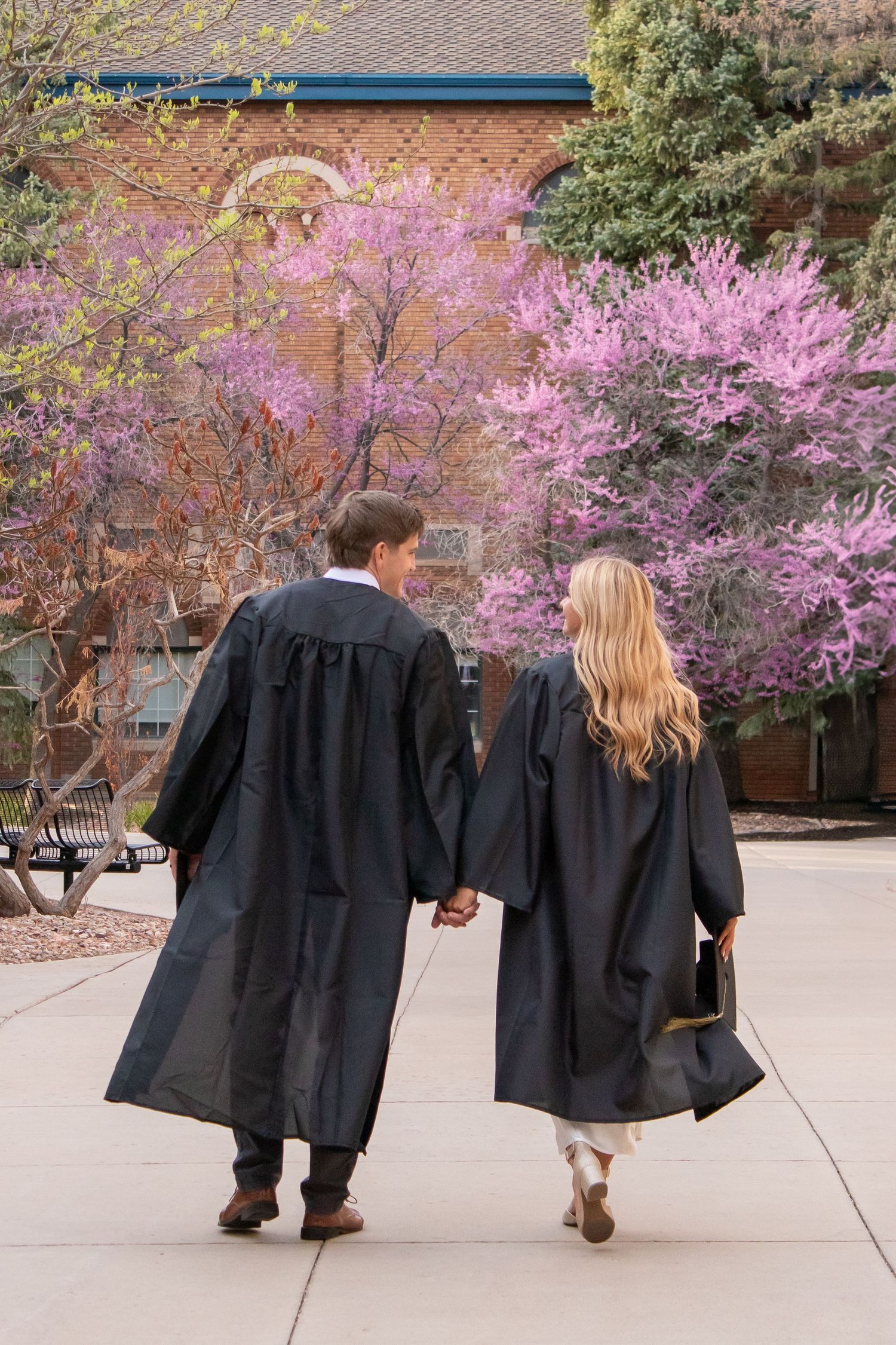 Two graduates in black gowns hold hands walking past pink flowering trees on a college campus.