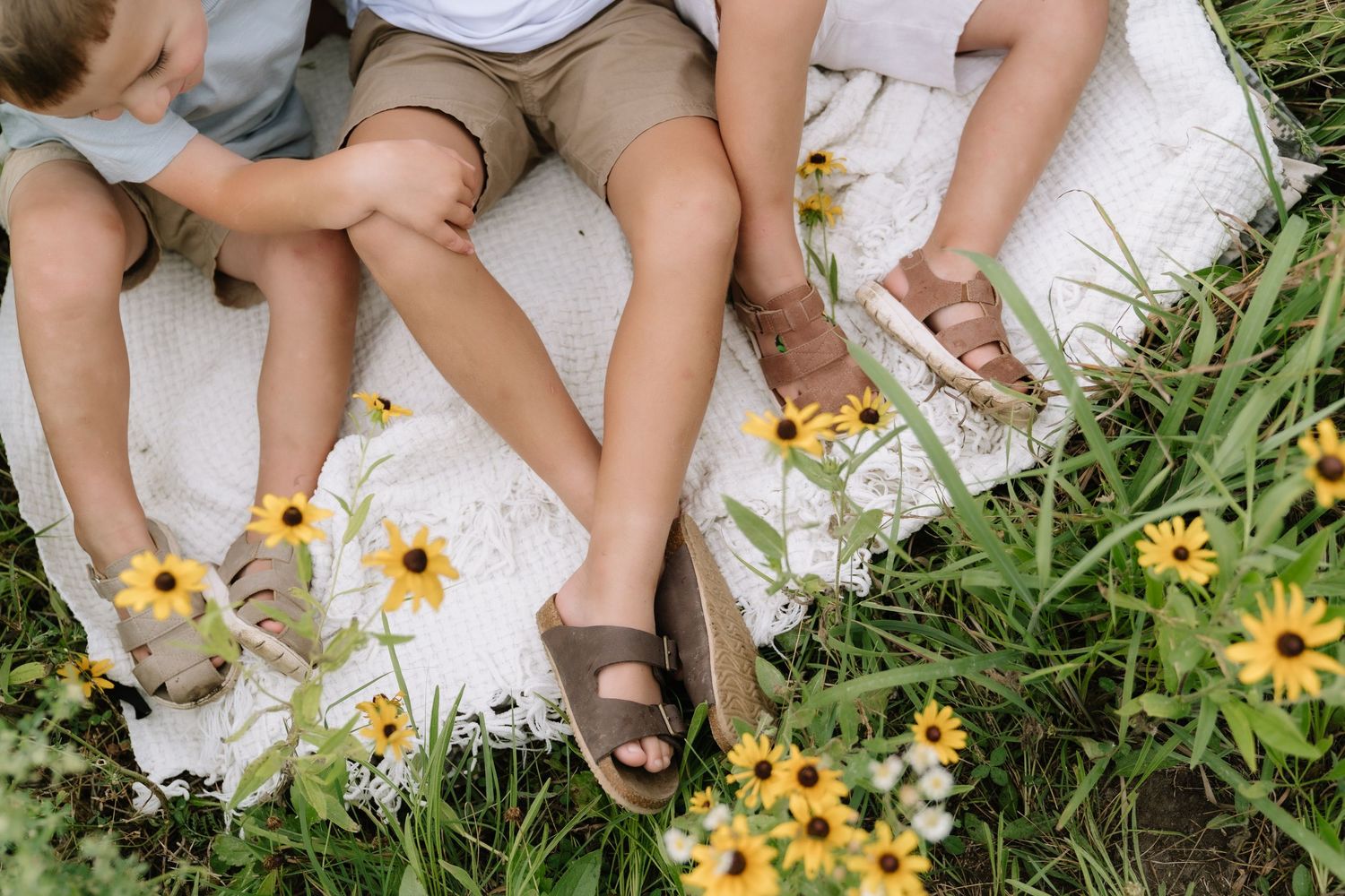 Three children sitting on a white blanket in a field of yellow black-eyed Susan flowers wearing brown sandals.