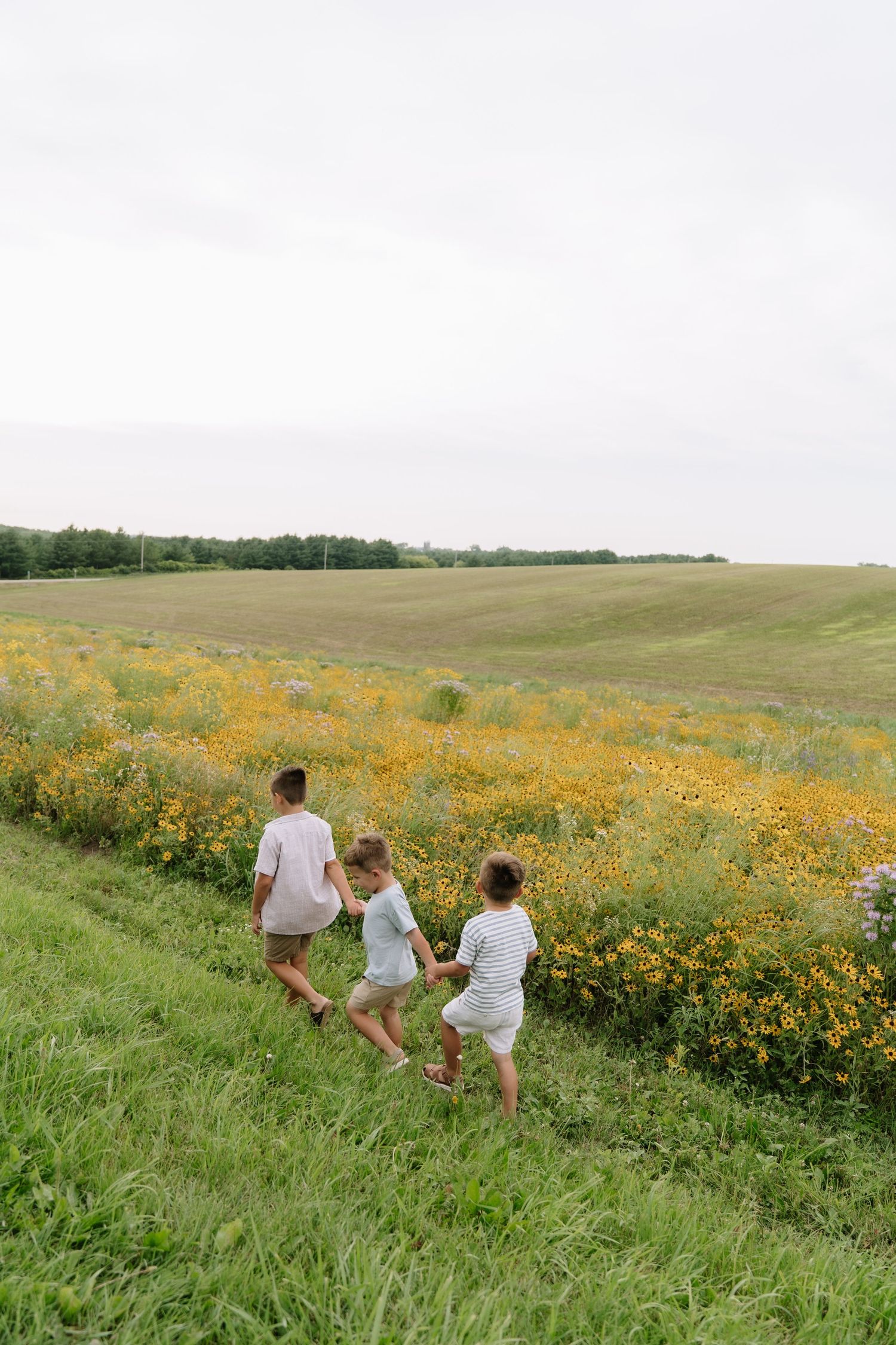 Three children run through a vibrant wildflower field with yellow blooms on a cloudy day.