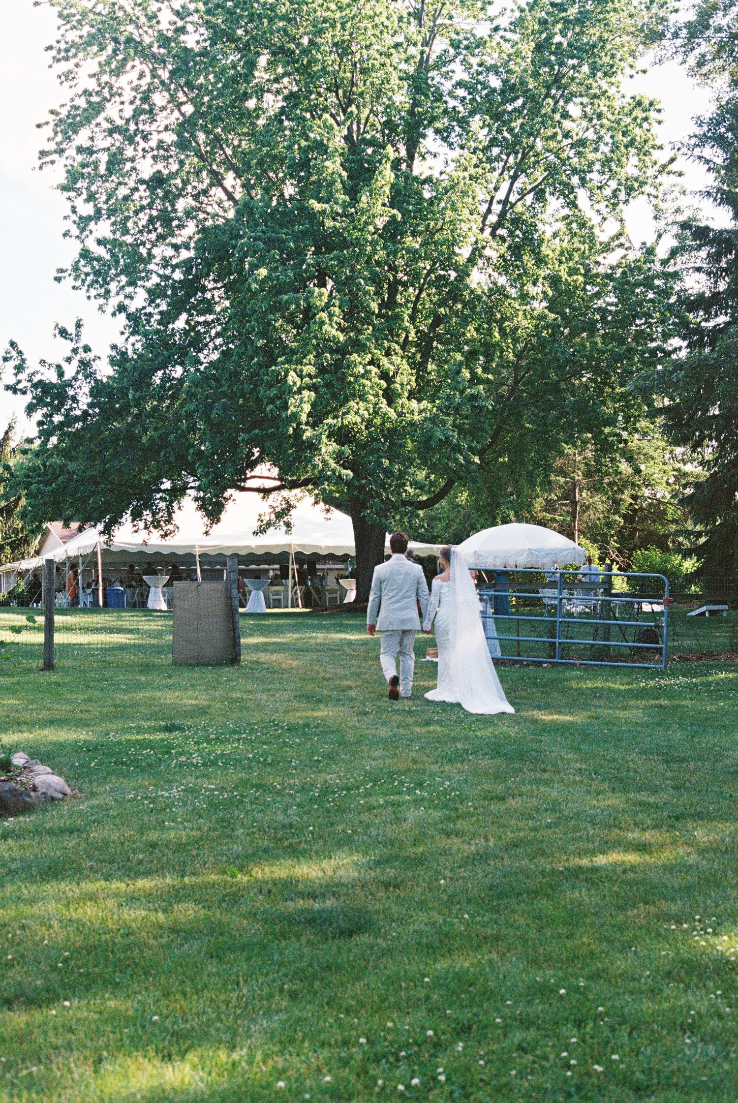 Bride and groom walking hand in hand across green lawn toward outdoor wedding reception tent under large tree.