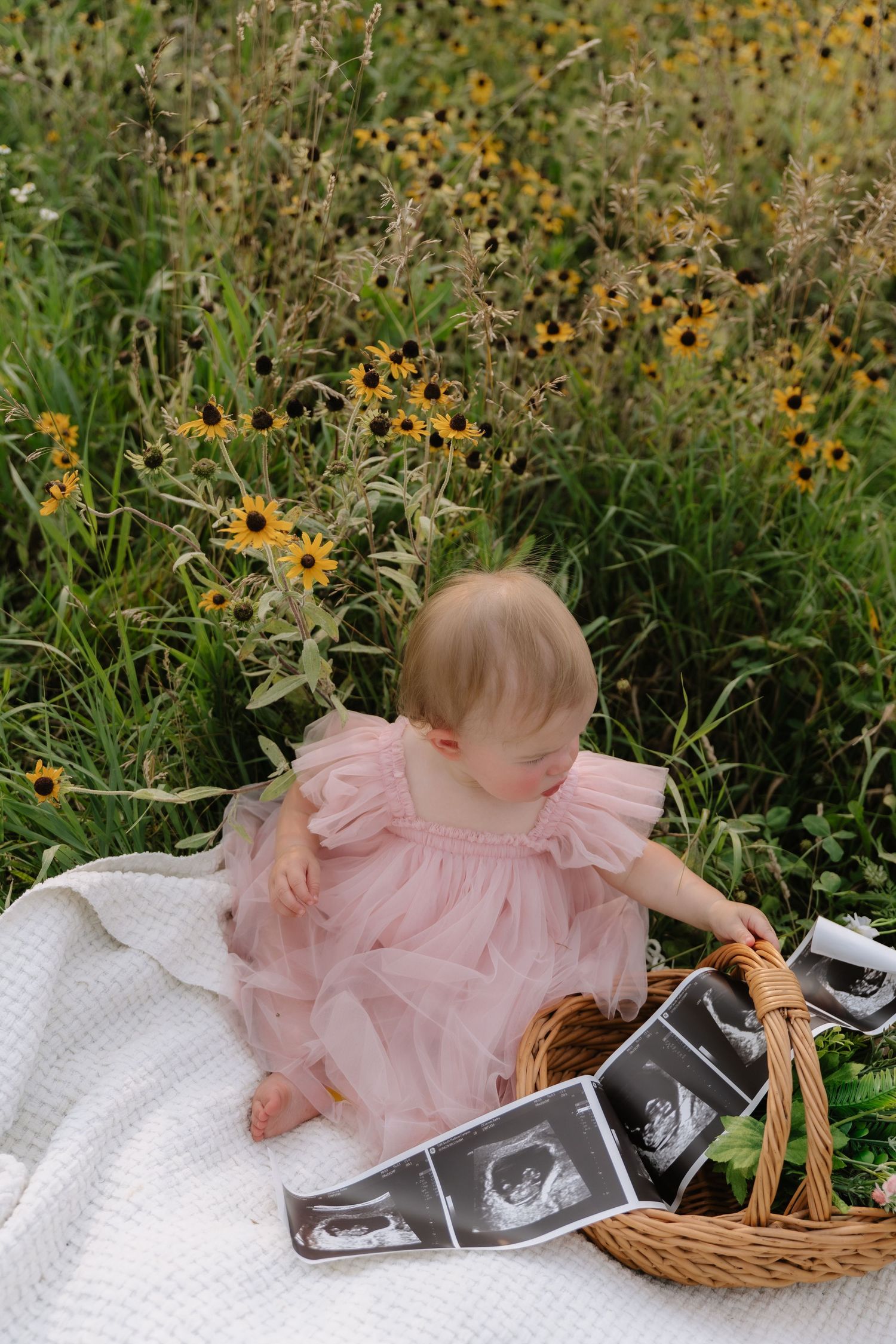 Baby in pink tulle dress sits on white blanket with ultrasound photos and basket amid wildflowers.