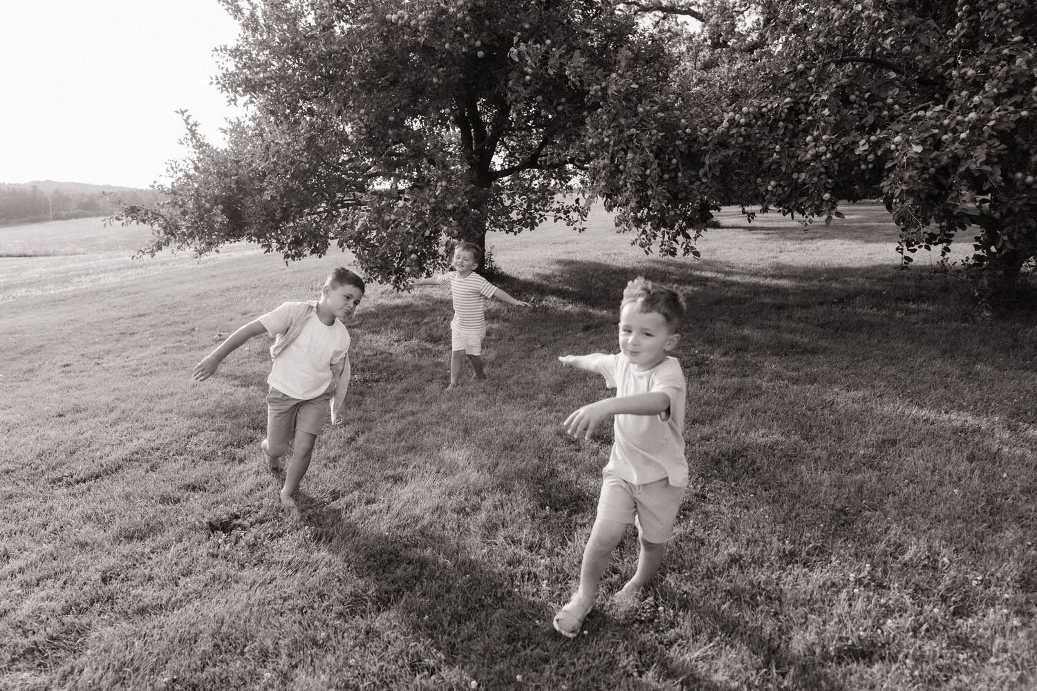 Black and white photo of three children playing and running on a grassy field near a large tree.