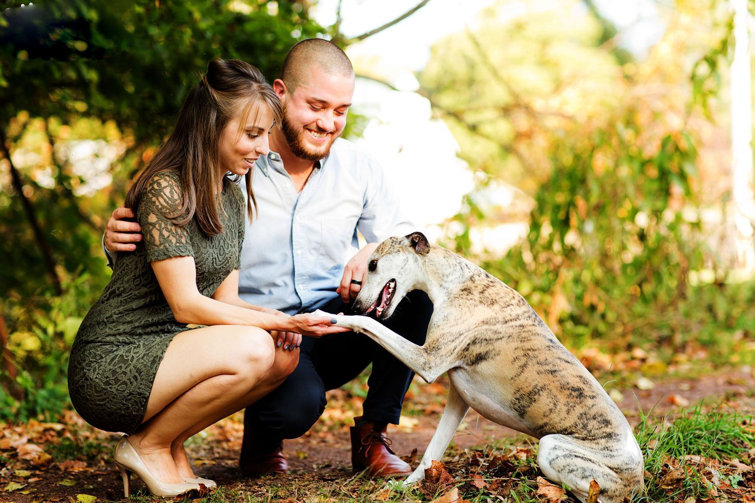 wedding engagement photos with dogs