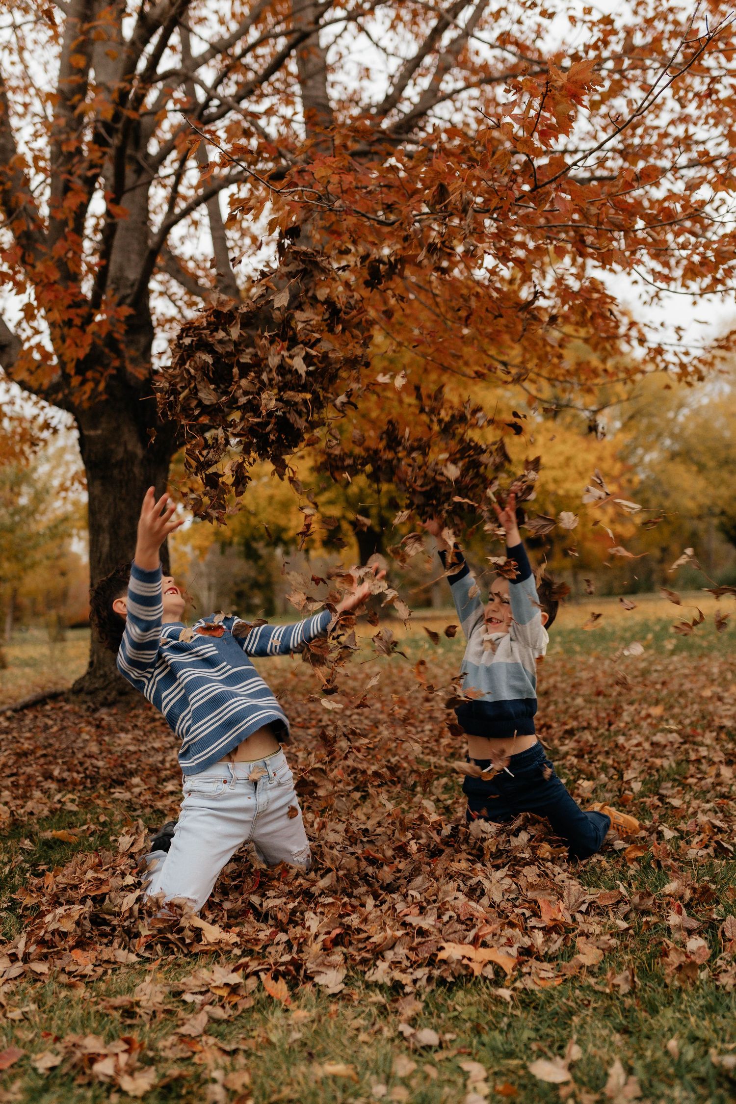 Two children joyfully tossing autumn leaves in a park surrounded by vibrant fall foliage.