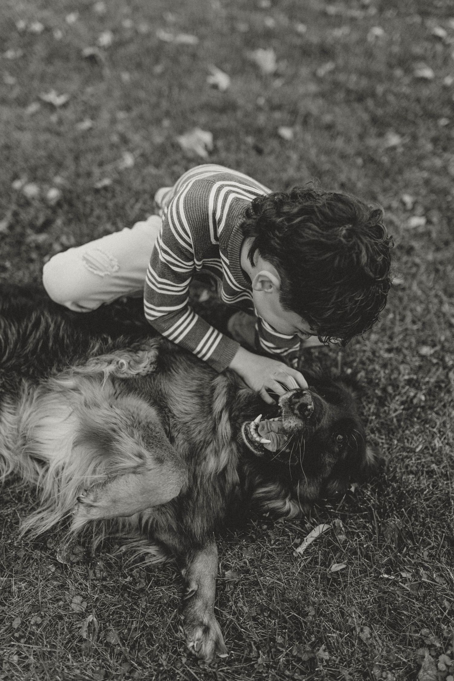 Black and white photo of young boy kissing and playing with a German Shepherd dog on grass.