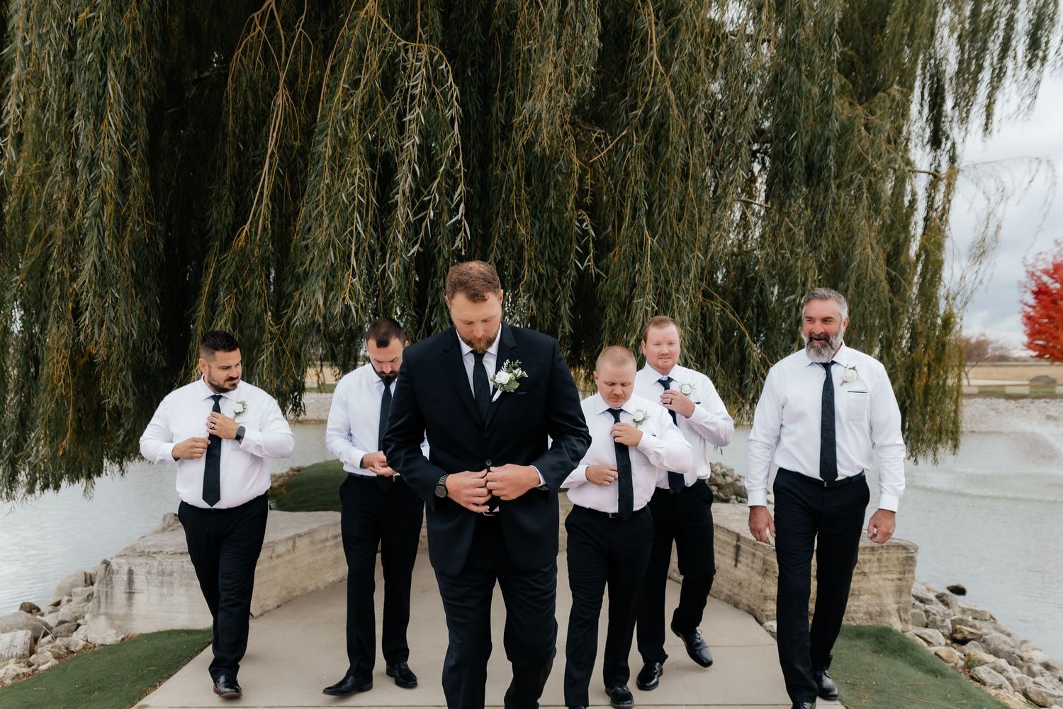 Groom leading groomsmen in white shirts and black ties walking under willow tree.