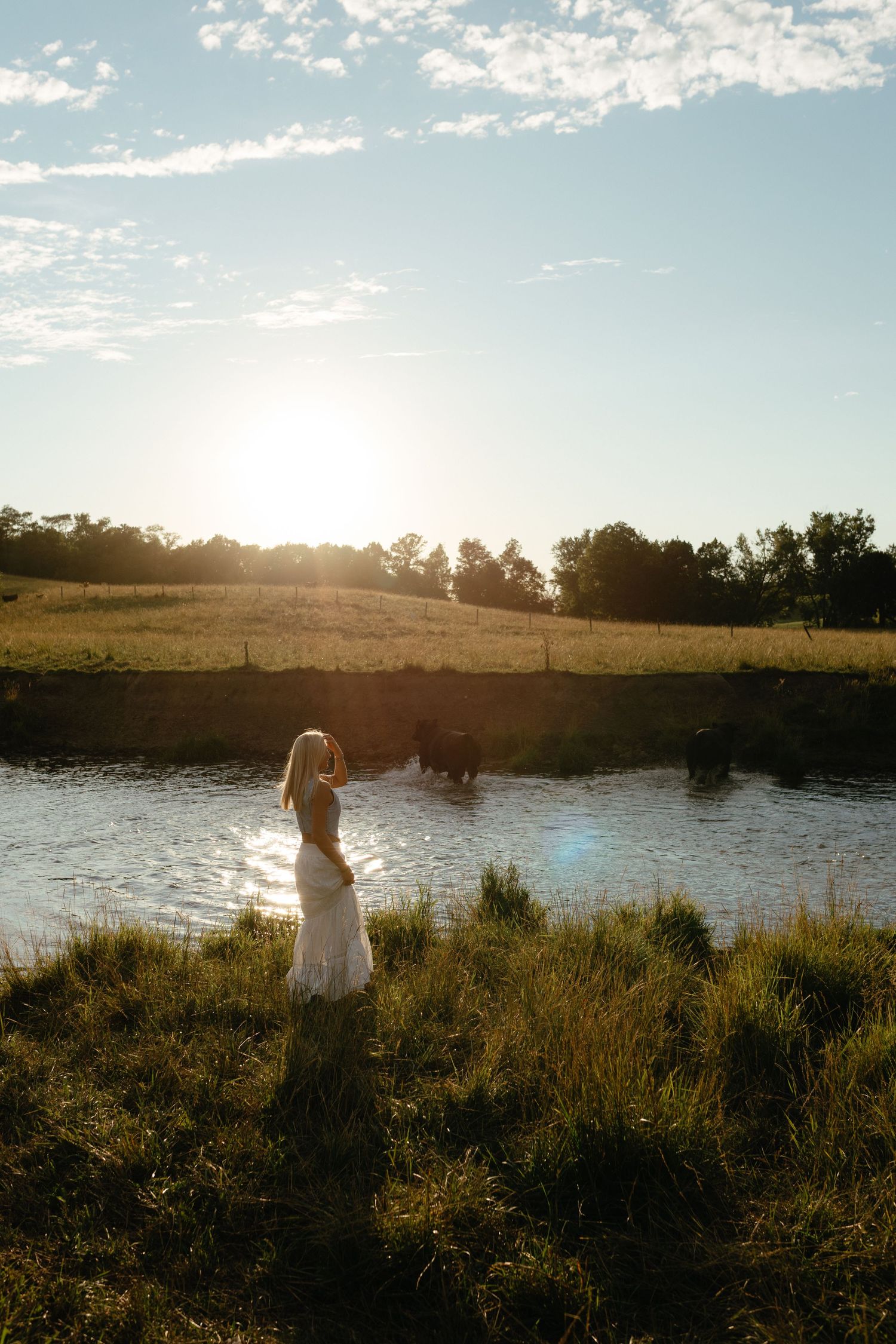 Blonde woman in white dress standing by pond at sunset with cattle in background.
