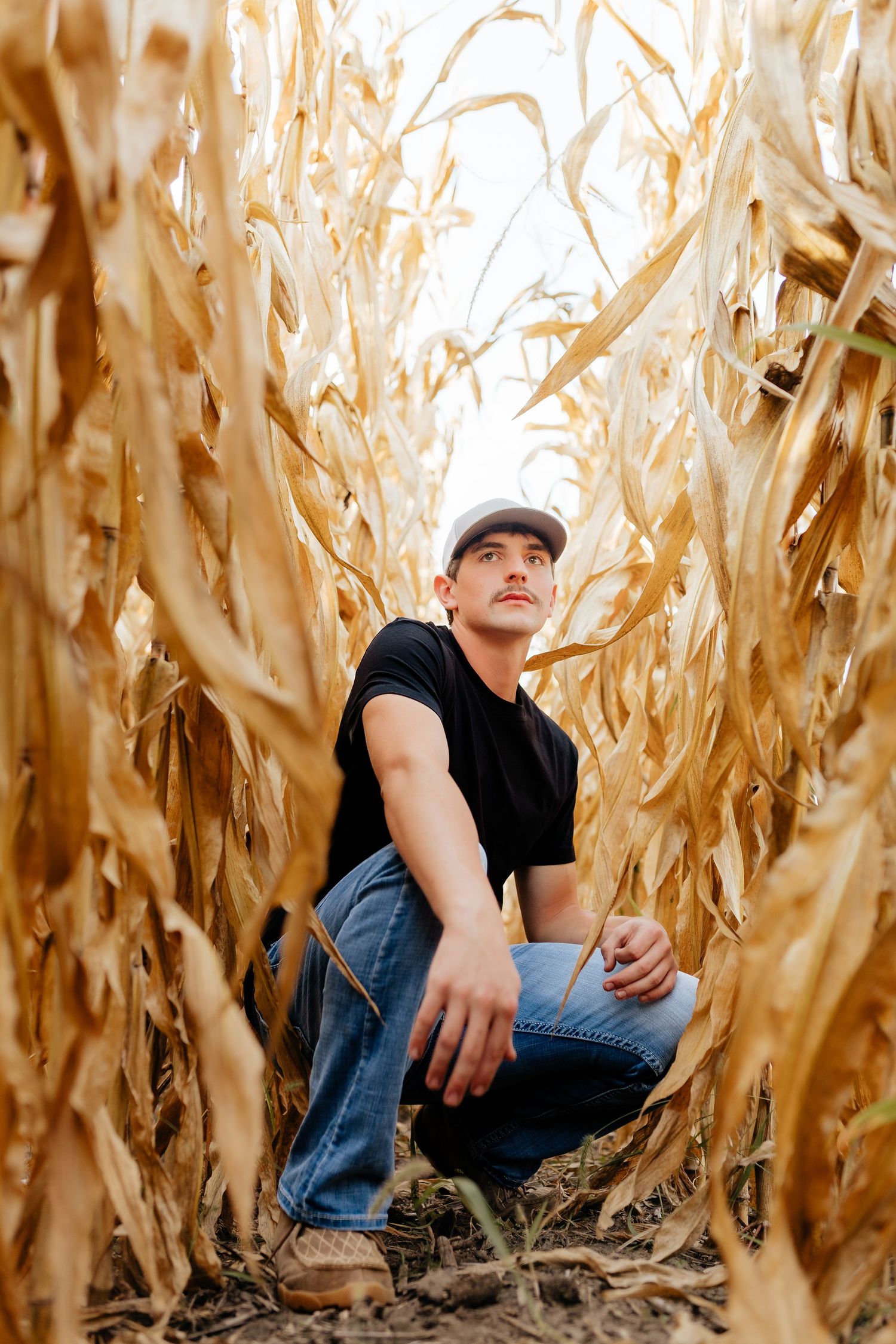 Young man in black shirt and cap crouching among dried golden corn stalks, looking upward thoughtfully.