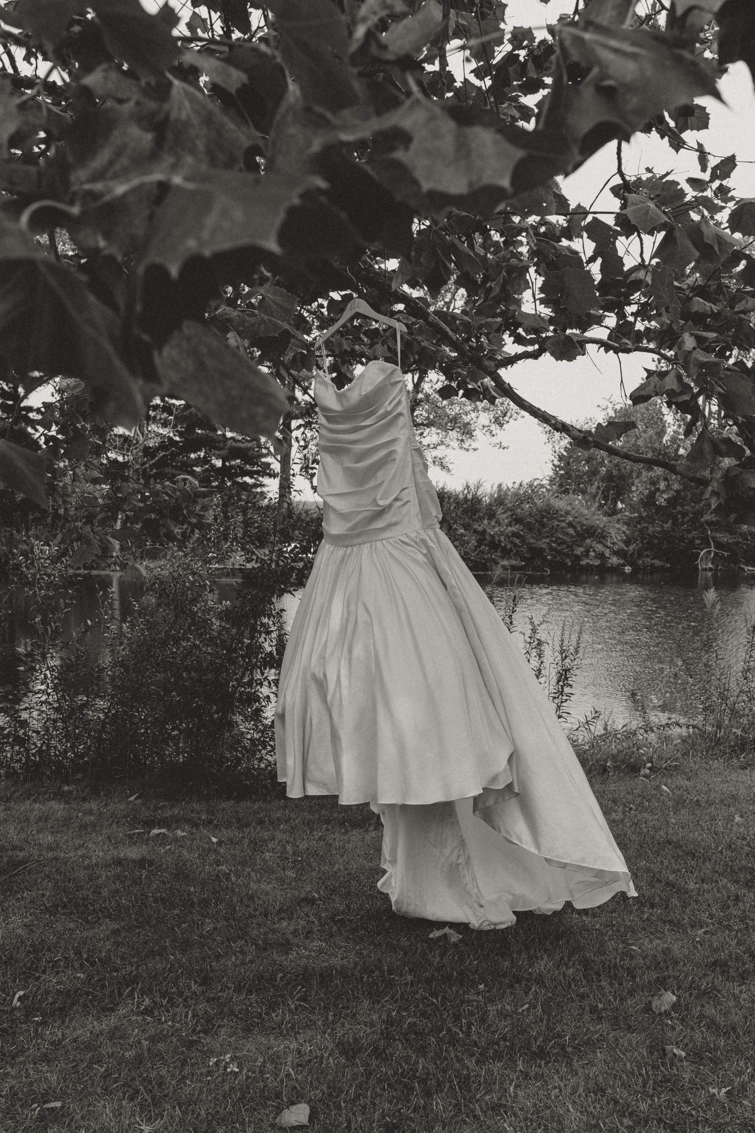 Black and white photo of a strapless wedding gown hanging from a tree branch near a peaceful lake.