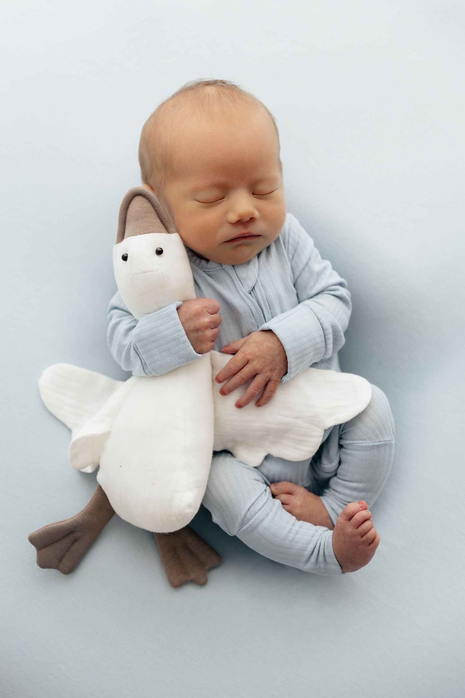 Newborn baby sleeping peacefully in blue outfit, cuddling a white duck stuffed animal toy on light blue background.
