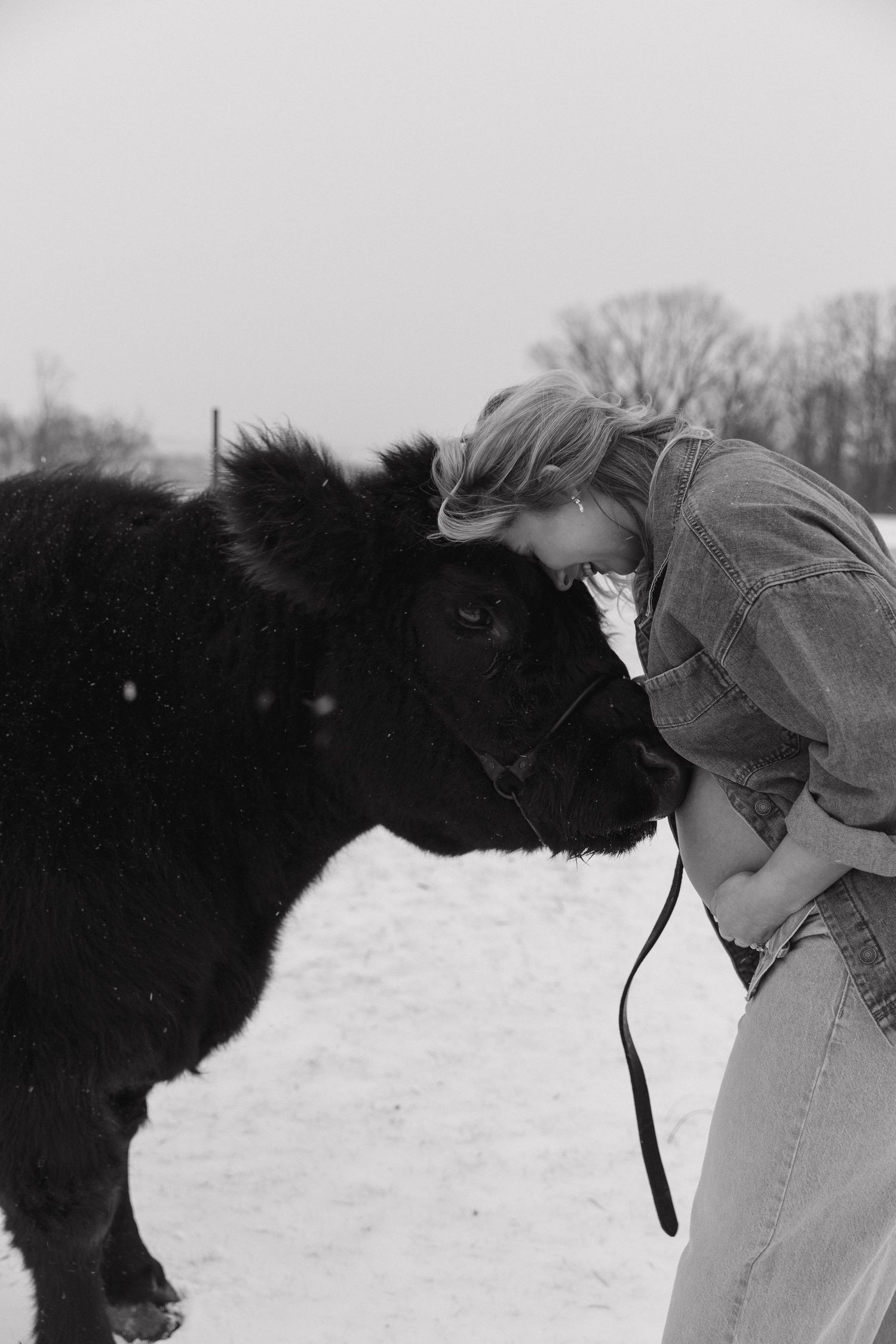 Black and white photo of pregnant woman tenderly touching foreheads with black cow in snow.