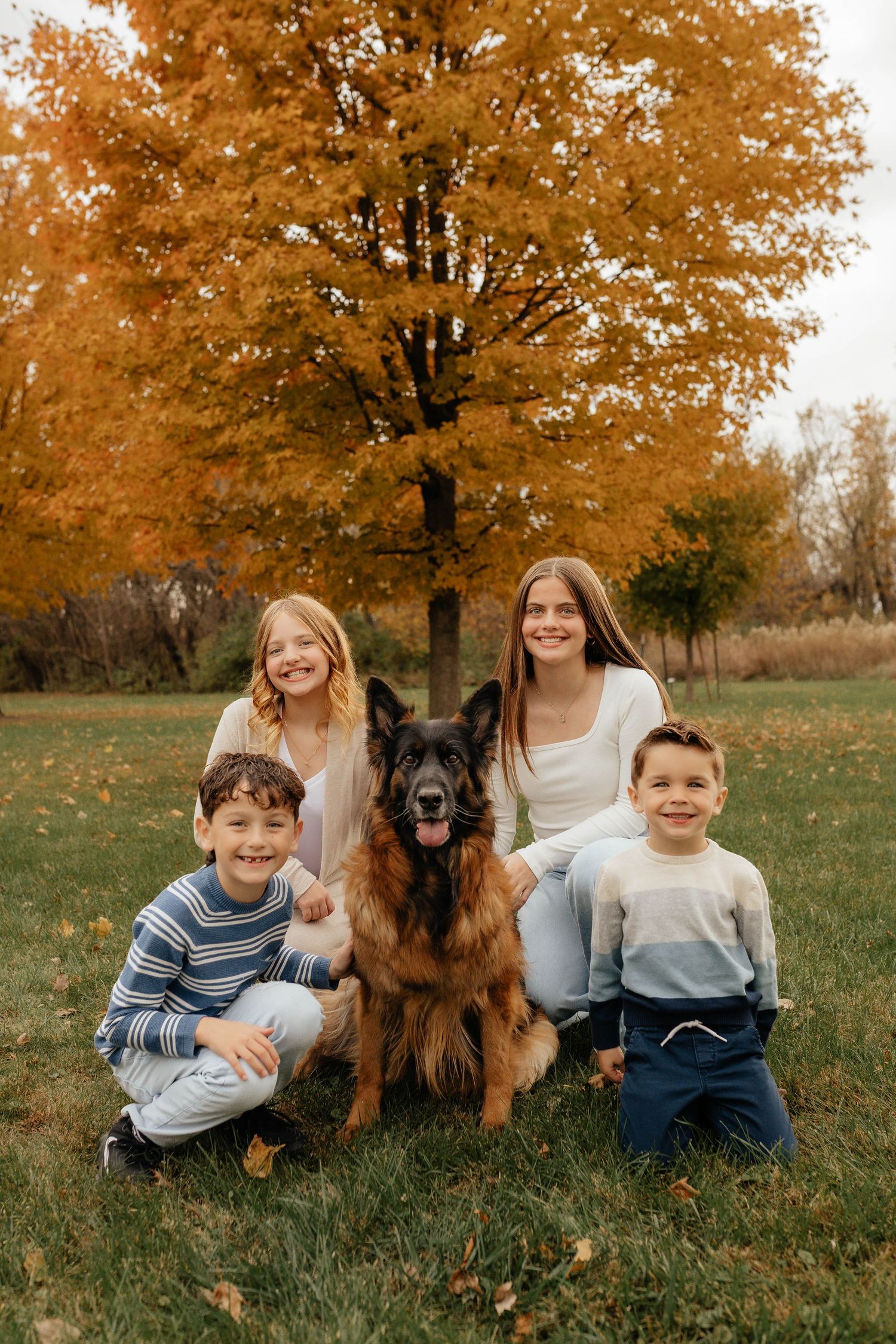 Four children pose with German Shepherd dog under vibrant orange autumn tree outdoors.