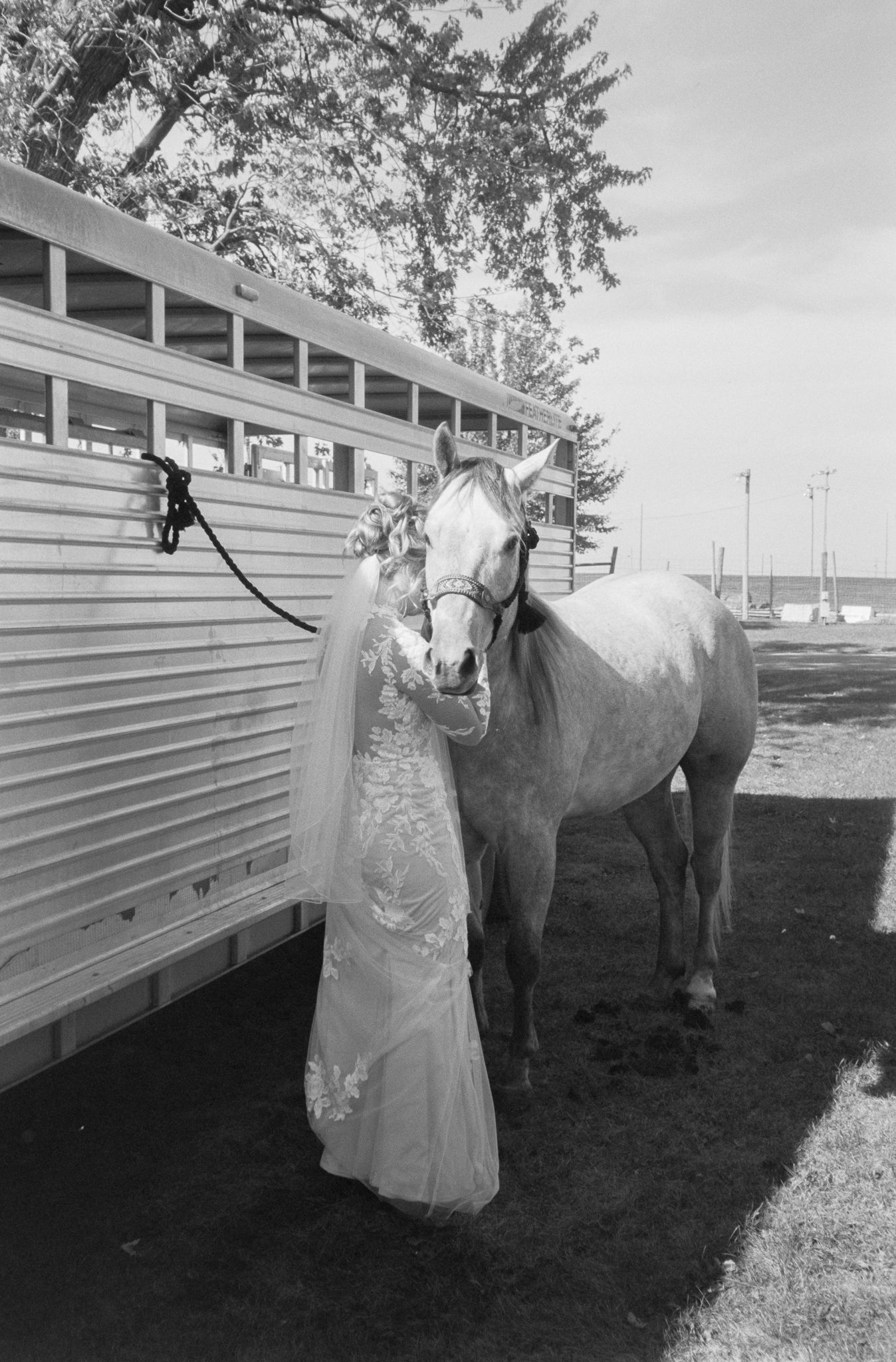 Bride in lace wedding gown and veil stands beside a white horse next to a horse trailer in black and white photo.