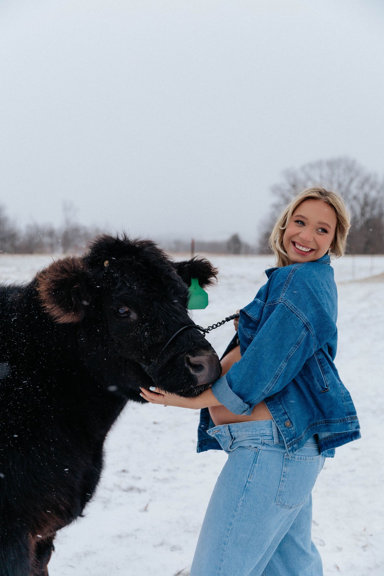 Smiling blonde pregnant woman in denim jacket holds lead rope of black cow in snowy field.