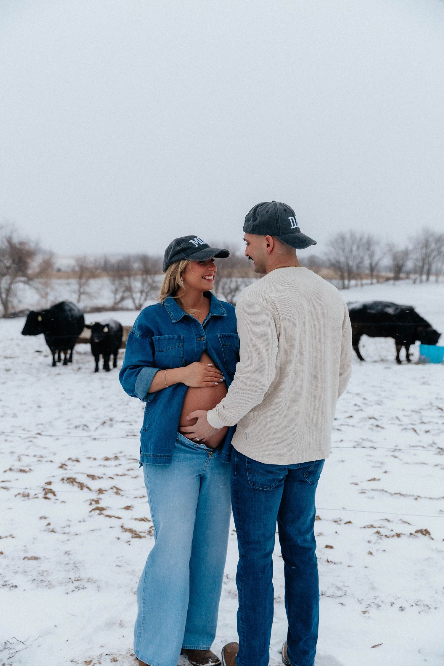 Pregnant couple holding baby bump together in snowy field with black cattle in the background.