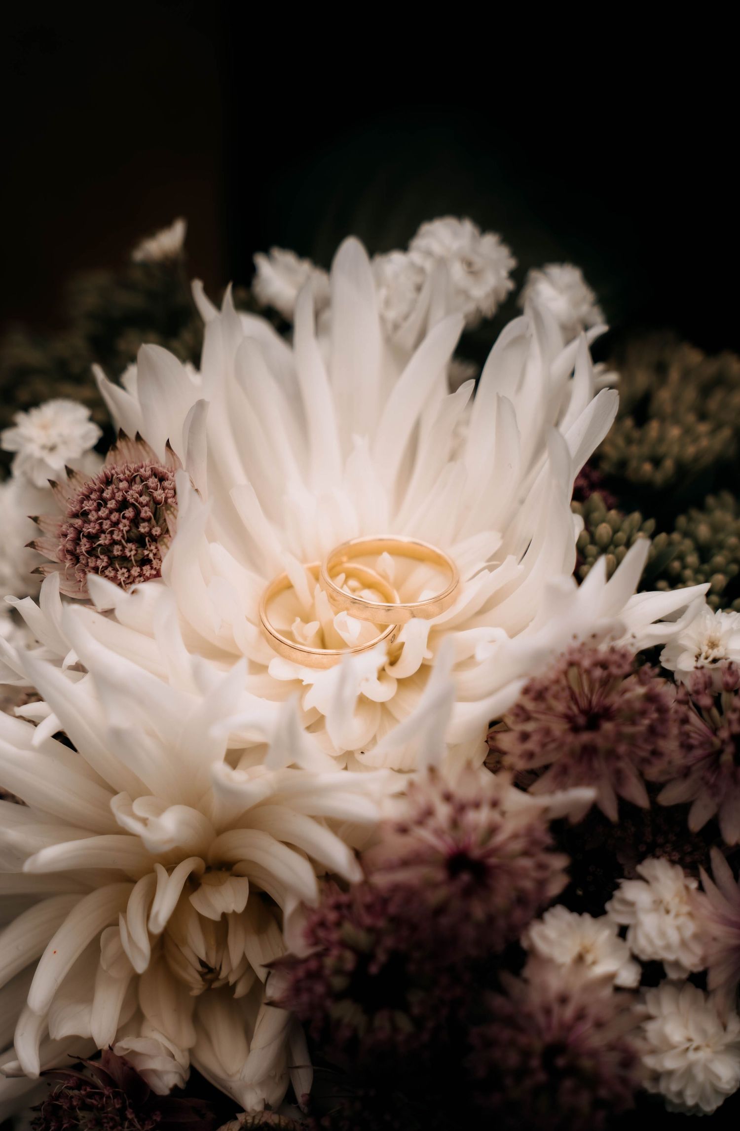 Two gold wedding rings resting on a white dahlia bloom surrounded by soft purple and white flowers.