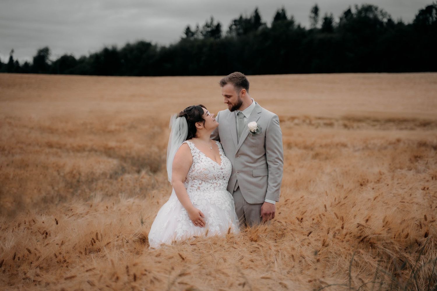 Bride and groom share a romantic moment standing in a golden wheat field with evergreen trees in the background.