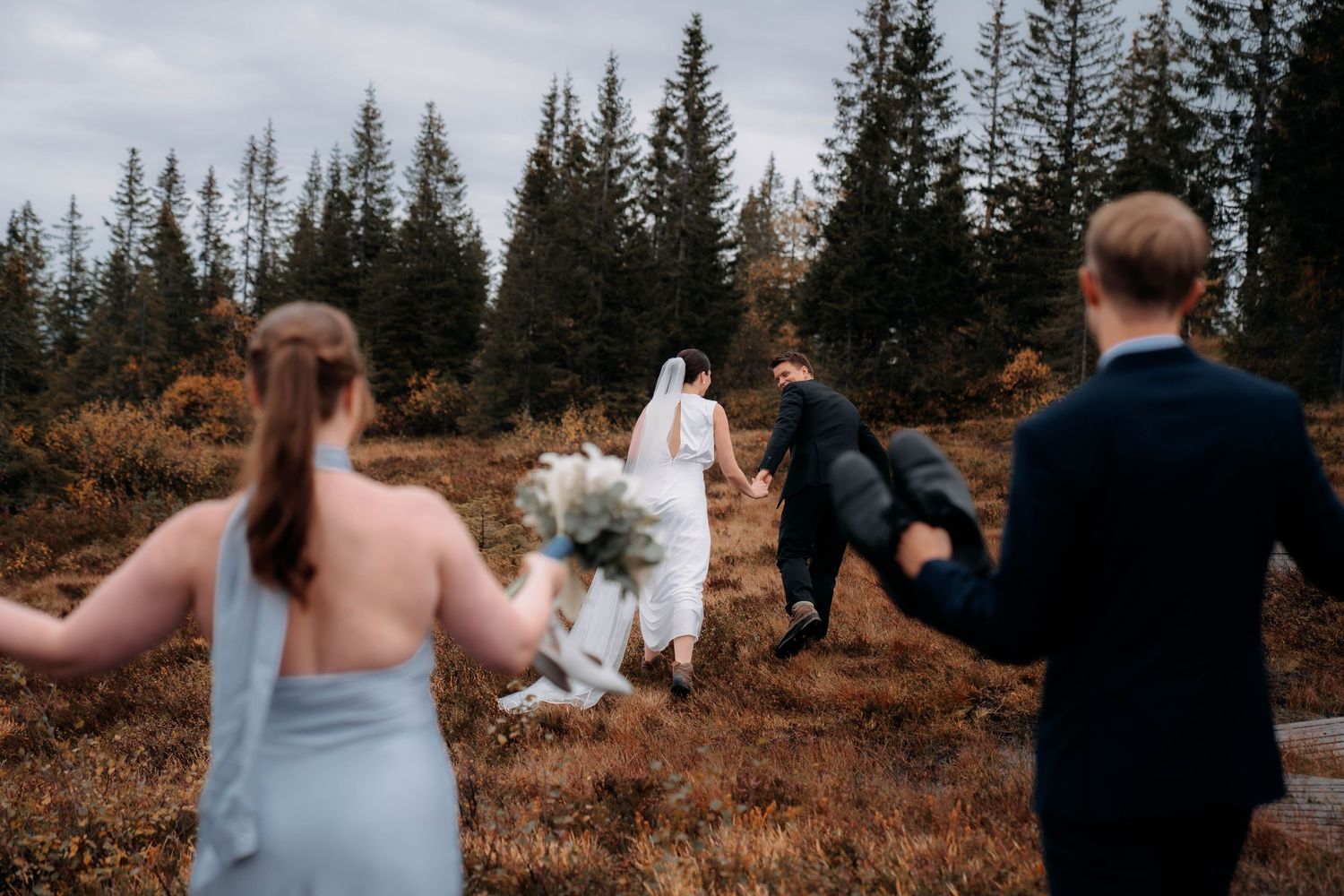 Wedding party walks through autumn meadow toward pine forest, bride in white gown and veil leading the way.