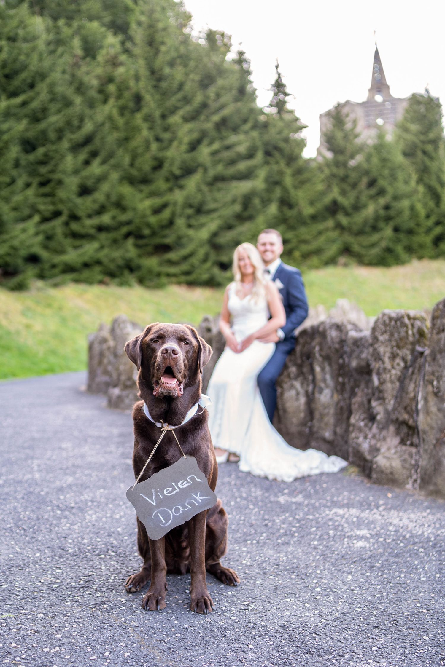 Hochzeitsbild mit Hund