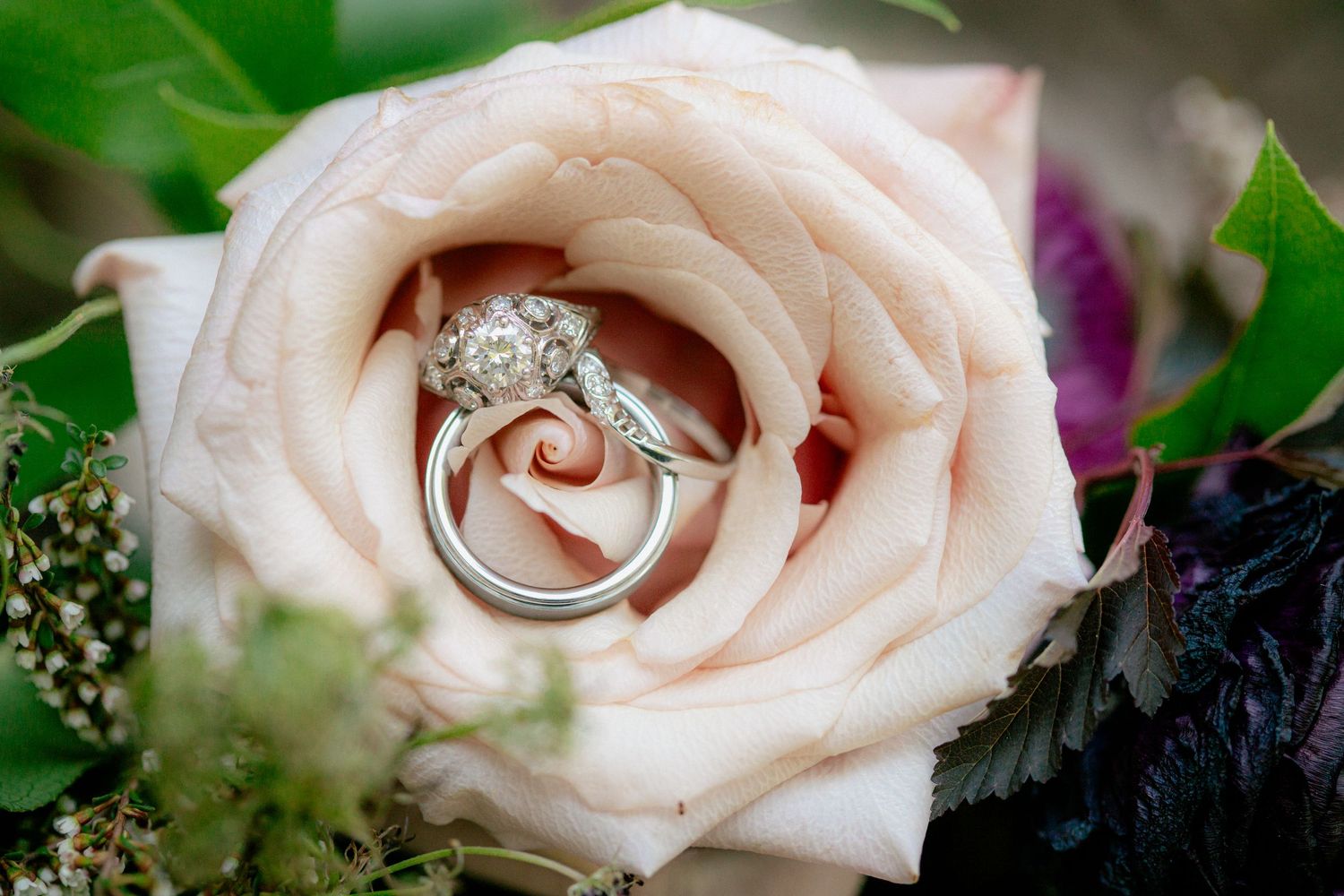 Diamond engagement ring and wedding band nestled in a soft pink rose bloom.