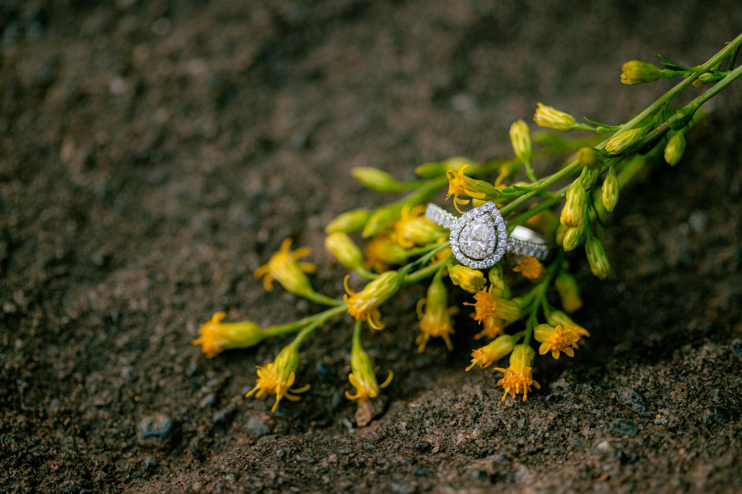 Diamond engagement ring resting on yellow wildflowers on dark soil.