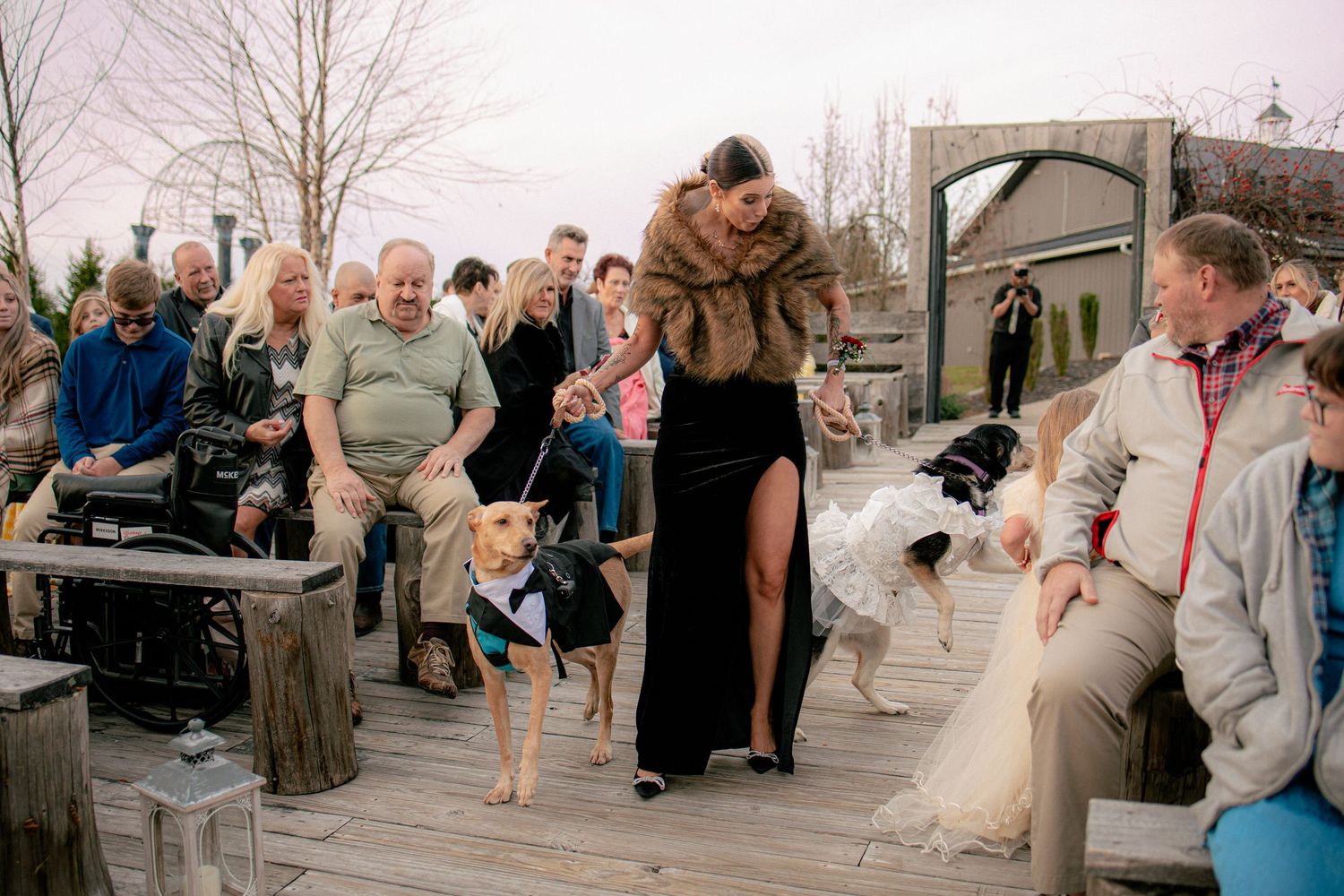 Bride in black dress walks dogs down the aisle at an outdoor waterfront wedding ceremony.
