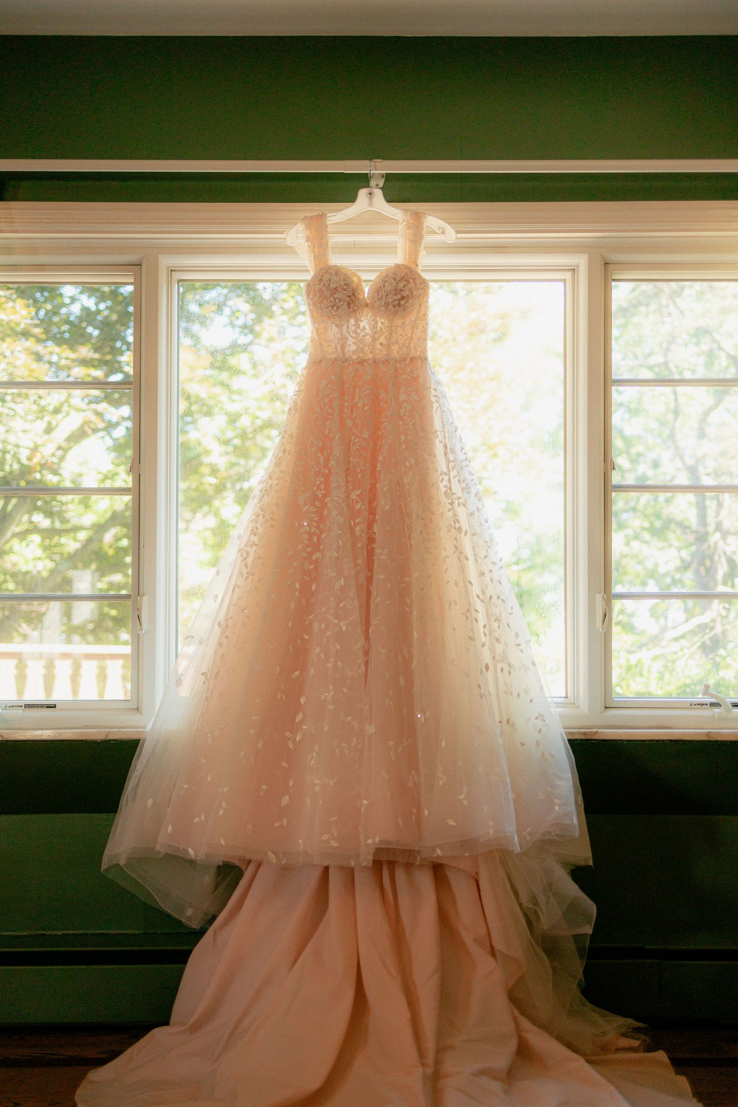 Blush pink ball gown wedding dress with sequin bodice hanging in a window with green outdoor backdrop.