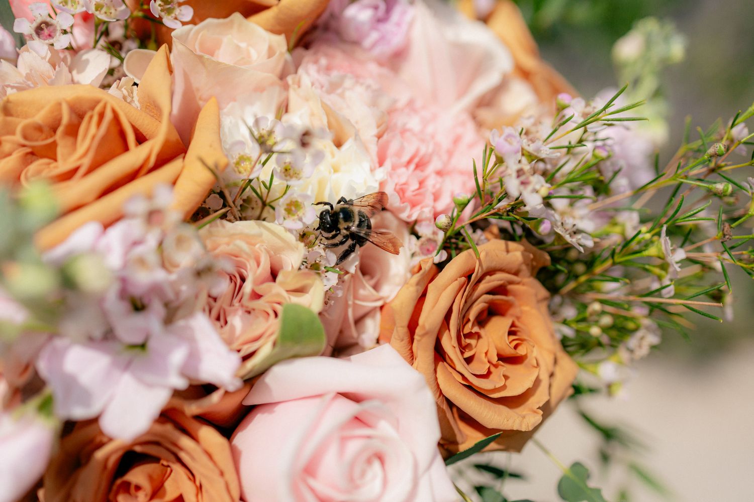 Close-up of a bumble bee on a romantic bridal bouquet featuring peach and blush roses with delicate white flowers.