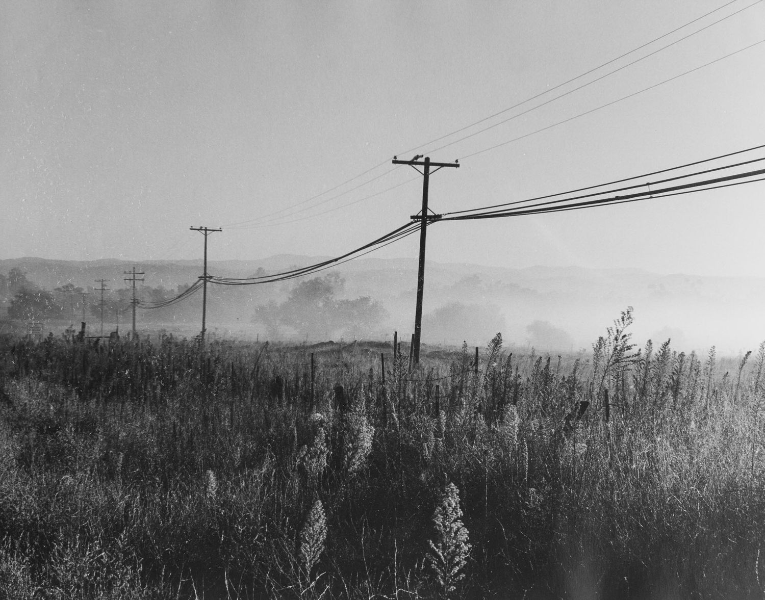 black and white silver gelatin print of morning fog shrouding telephone poles on the outskirts of Ramona, CA