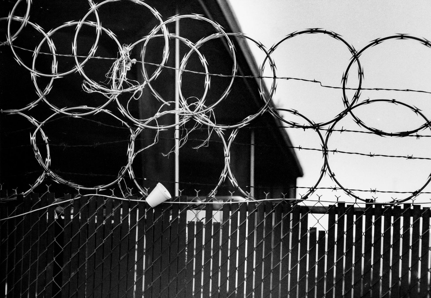 black and white silver gelatin print of linear barbed wire fencing, Escondido, CA