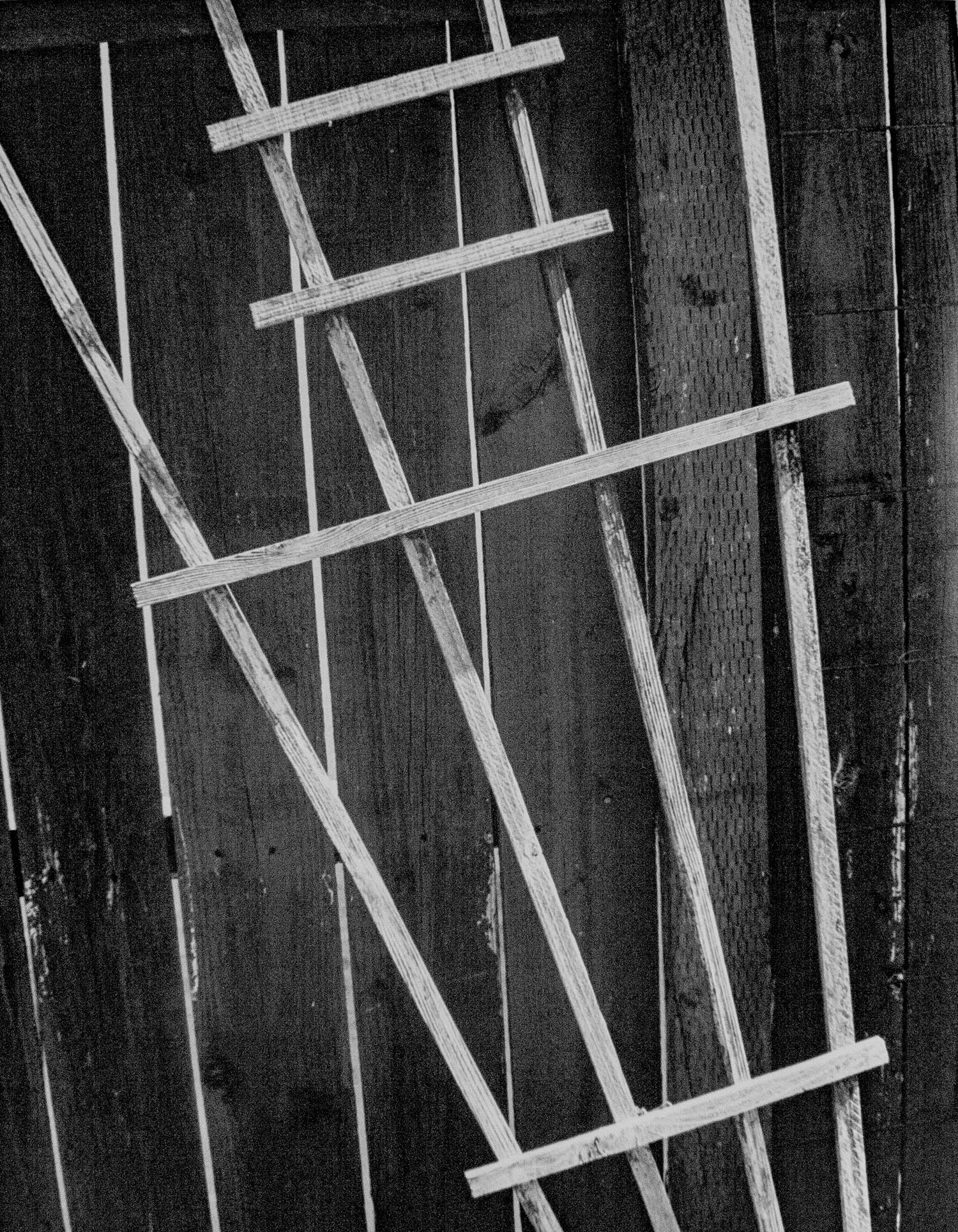 black and white silver gelatin print of wooden garden trellis resting against a cedar fence emphasizing linear details of both