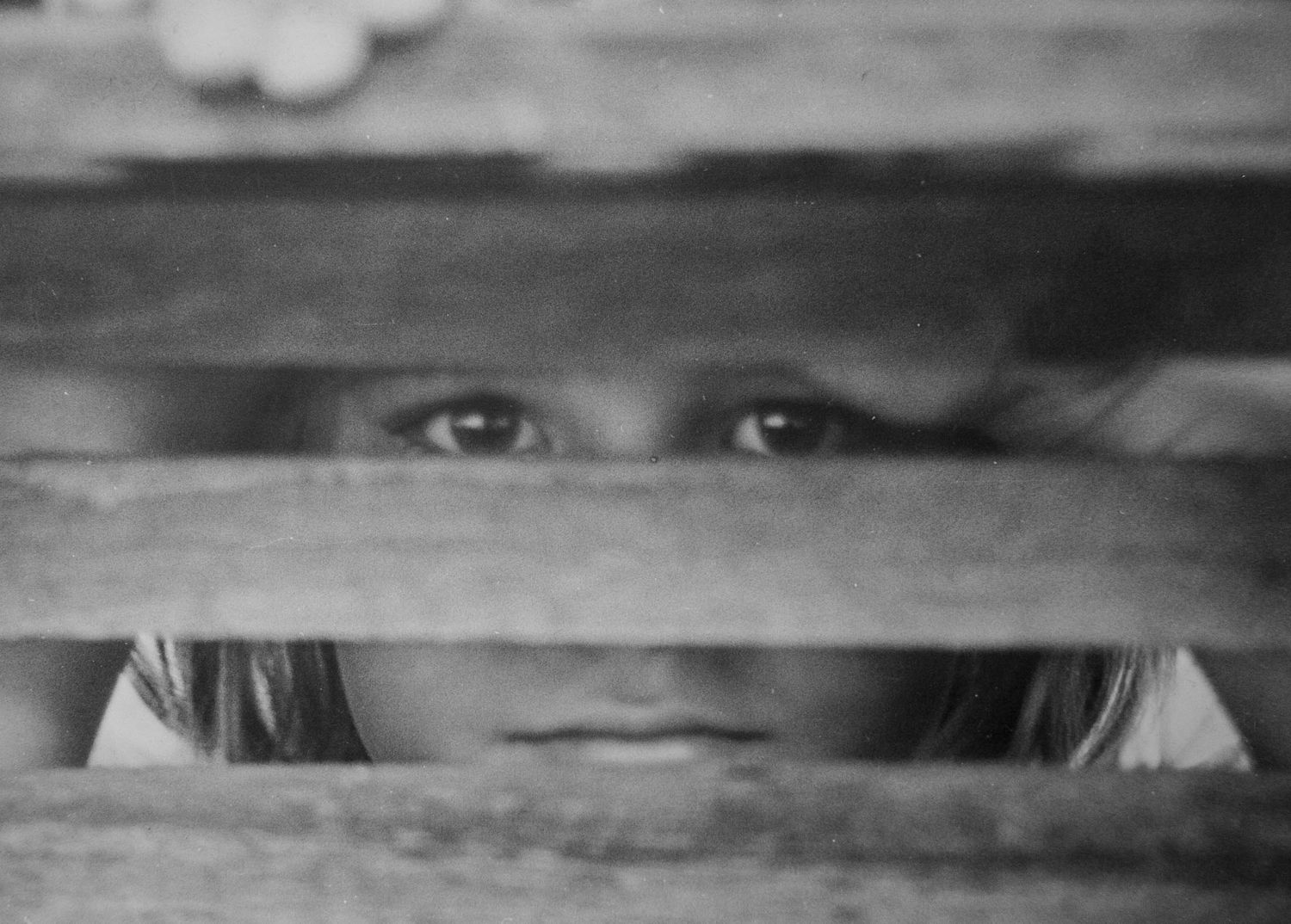 black and white silver gelatin print of young girl peering through slats of bench at Angel Oak, Charleston, South Carolina