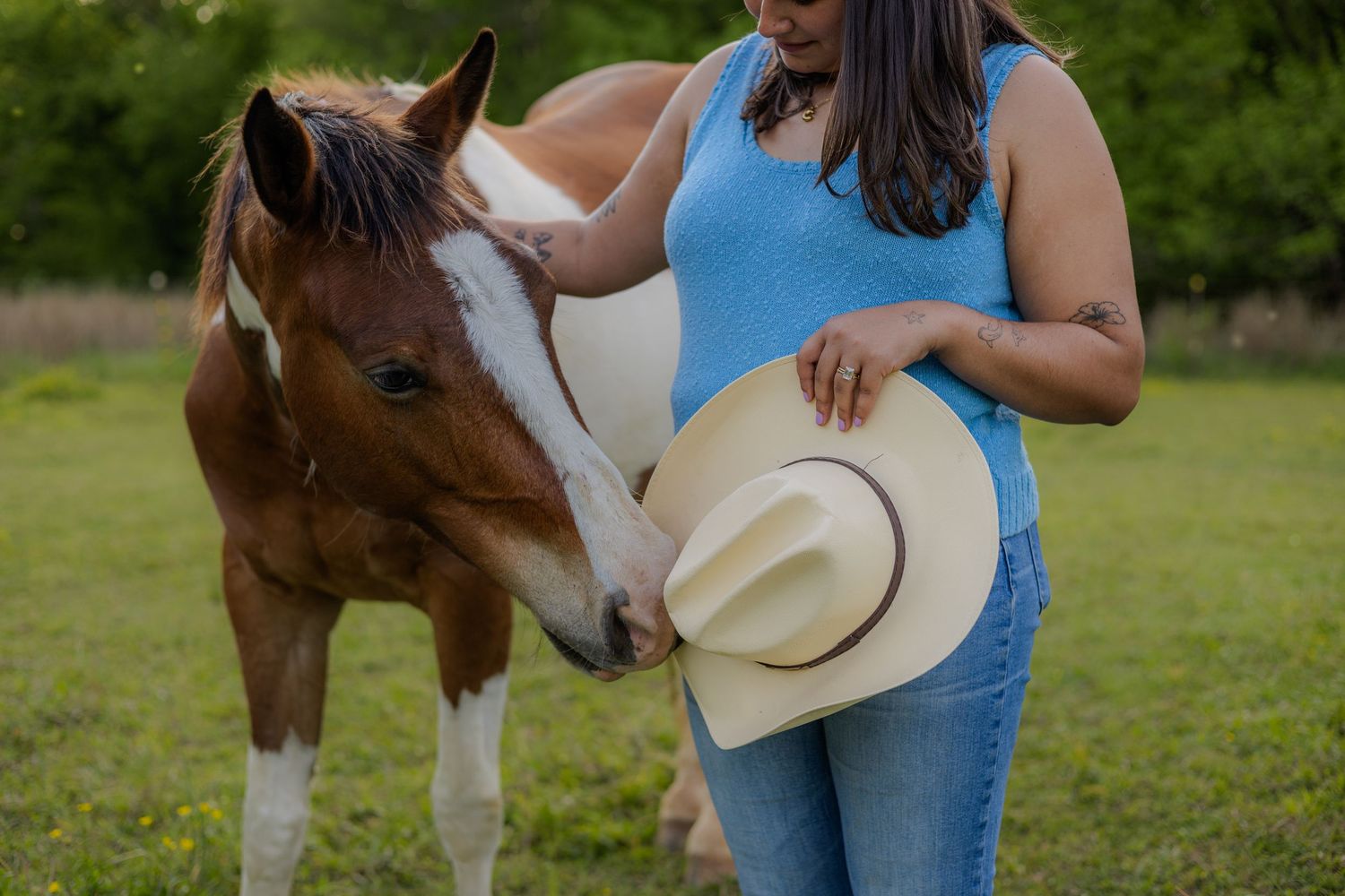 Horses & Besties
