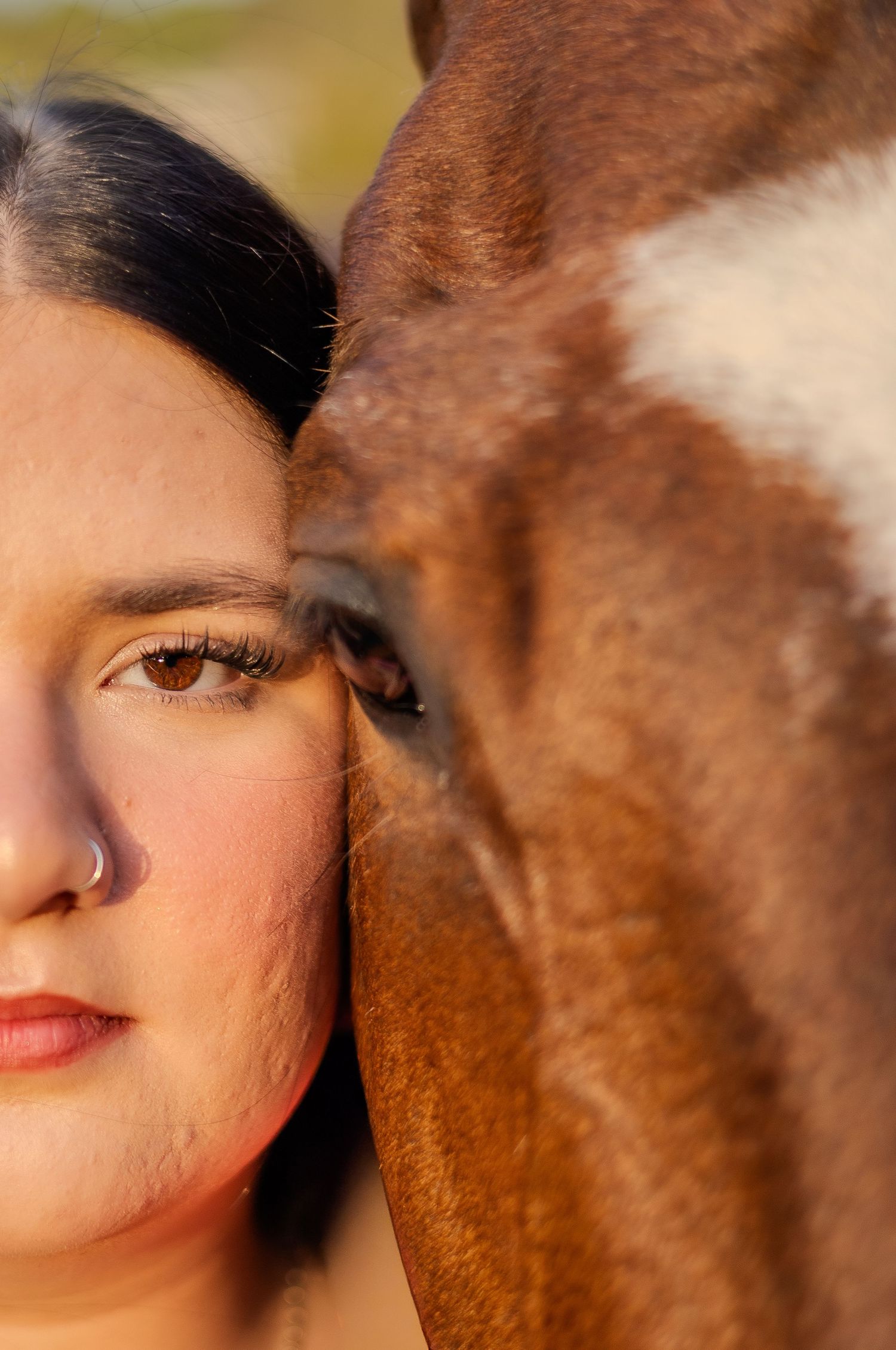 Horses & Besties