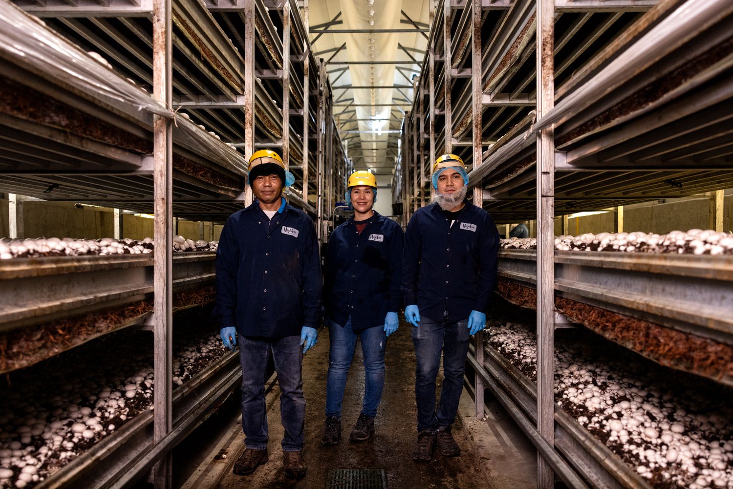 Immigrant farm workers on the job in an industrial factory setting for a documentary style commercial photoshoot for a union in construction