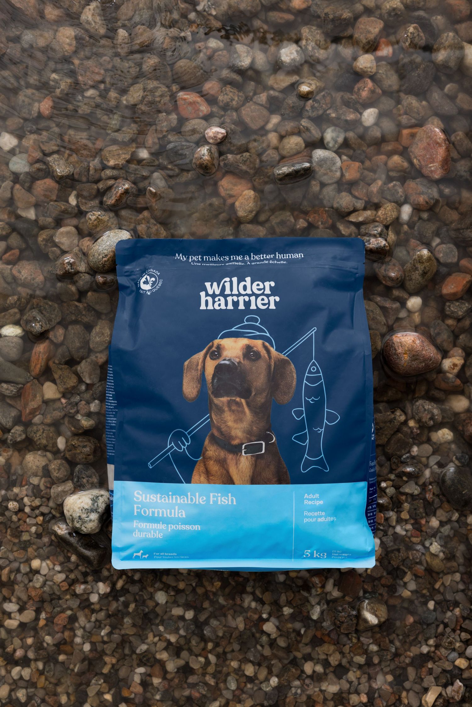 pet supplies, dog food, food styling, product styling, dog treats, pet food