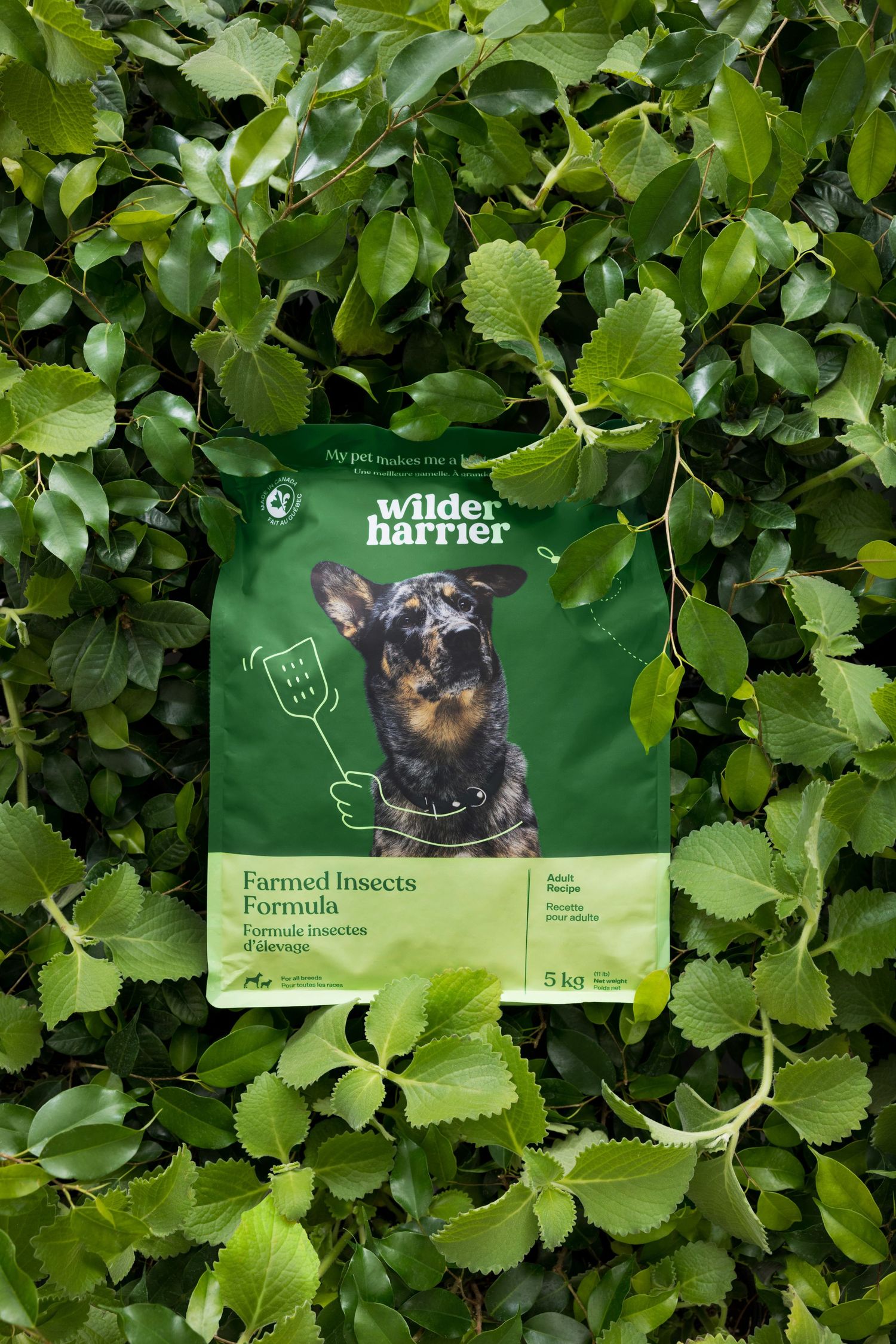 pet supplies, dog food, food styling, product styling, dog treats, pet food
