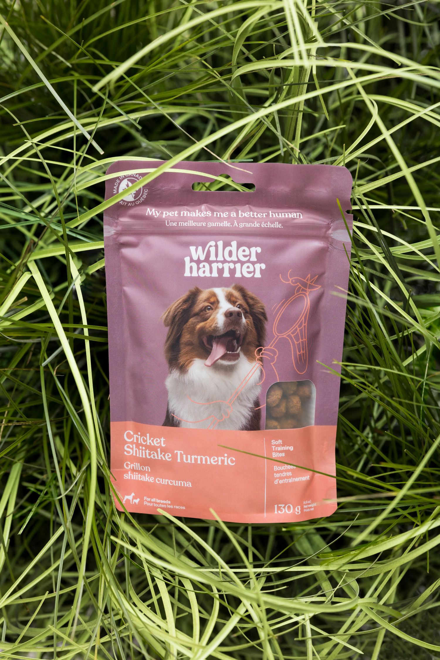 pet supplies, dog food, food styling, product styling, dog treats, pet food