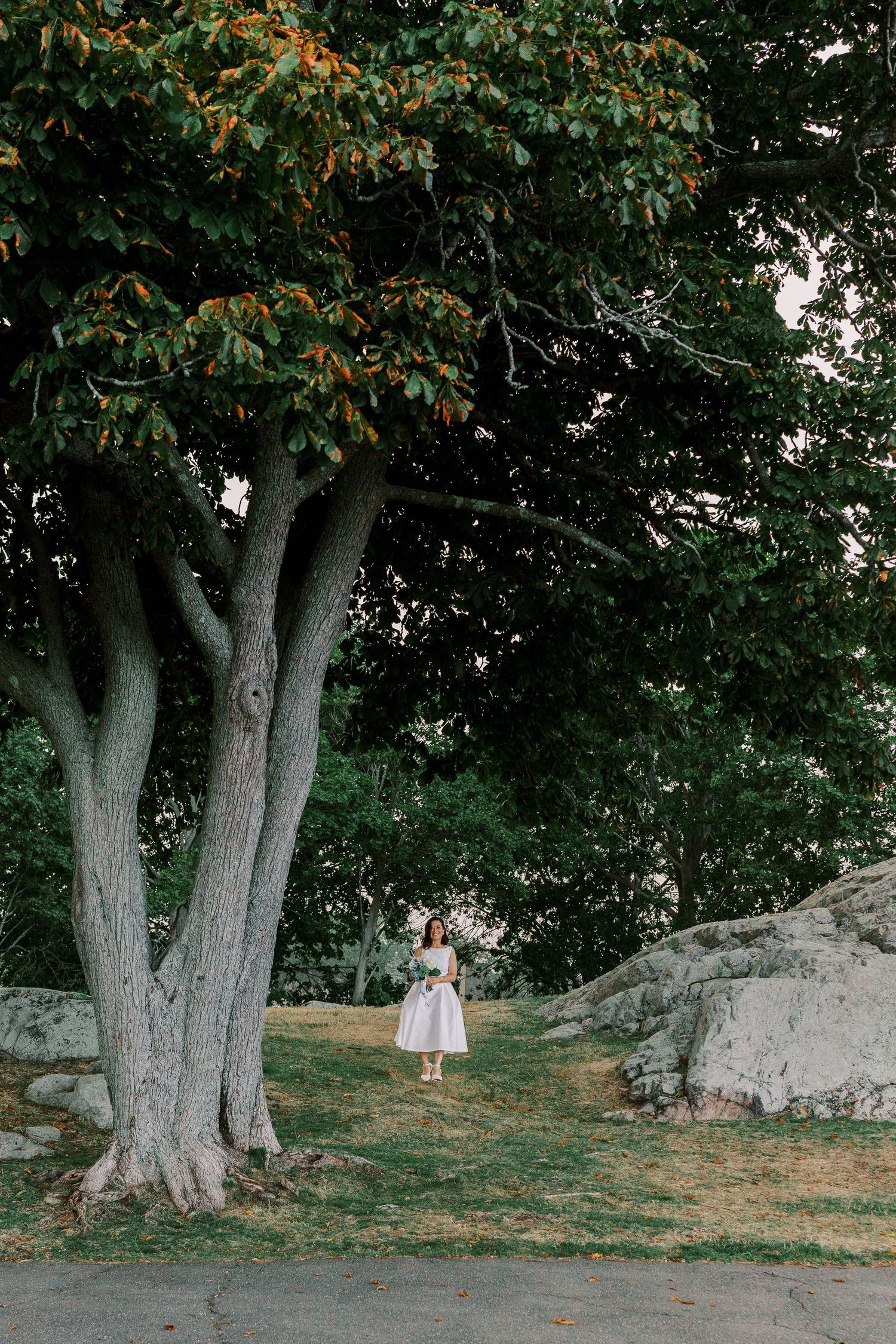 Artistic series of photographs showing a white dress against large trees in a natural outdoor setting.