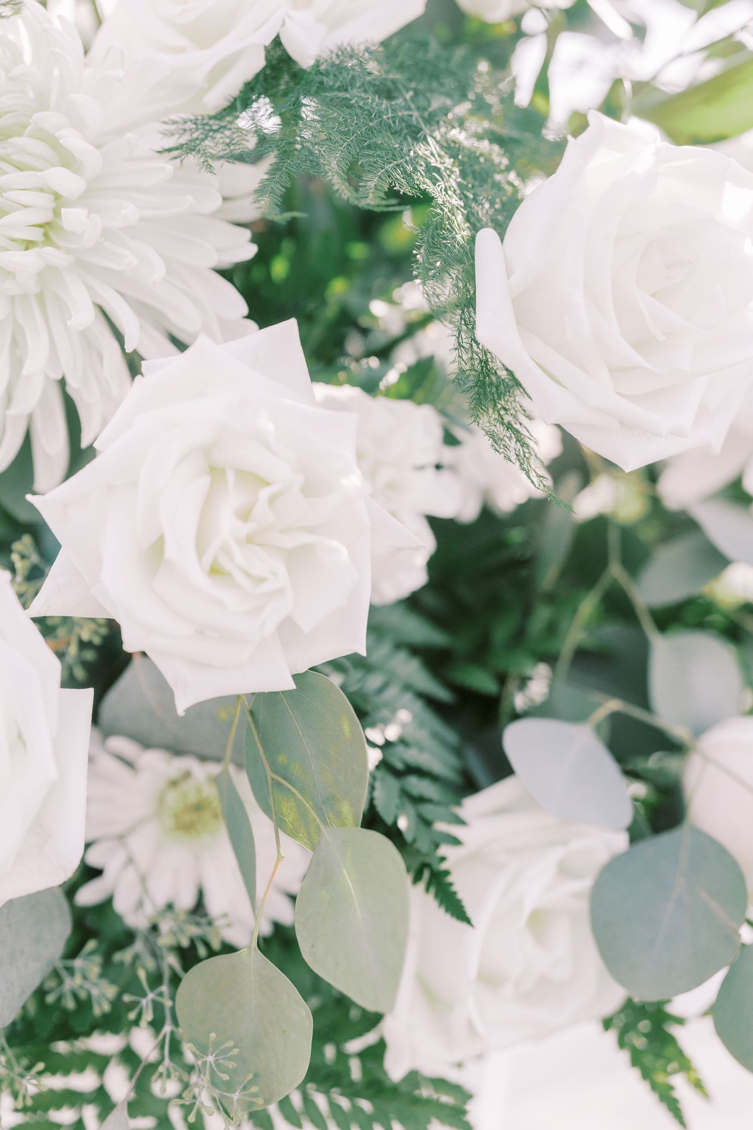 Elegant white roses and eucalyptus leaves create a romantic floral arrangement with soft, ethereal lighting.