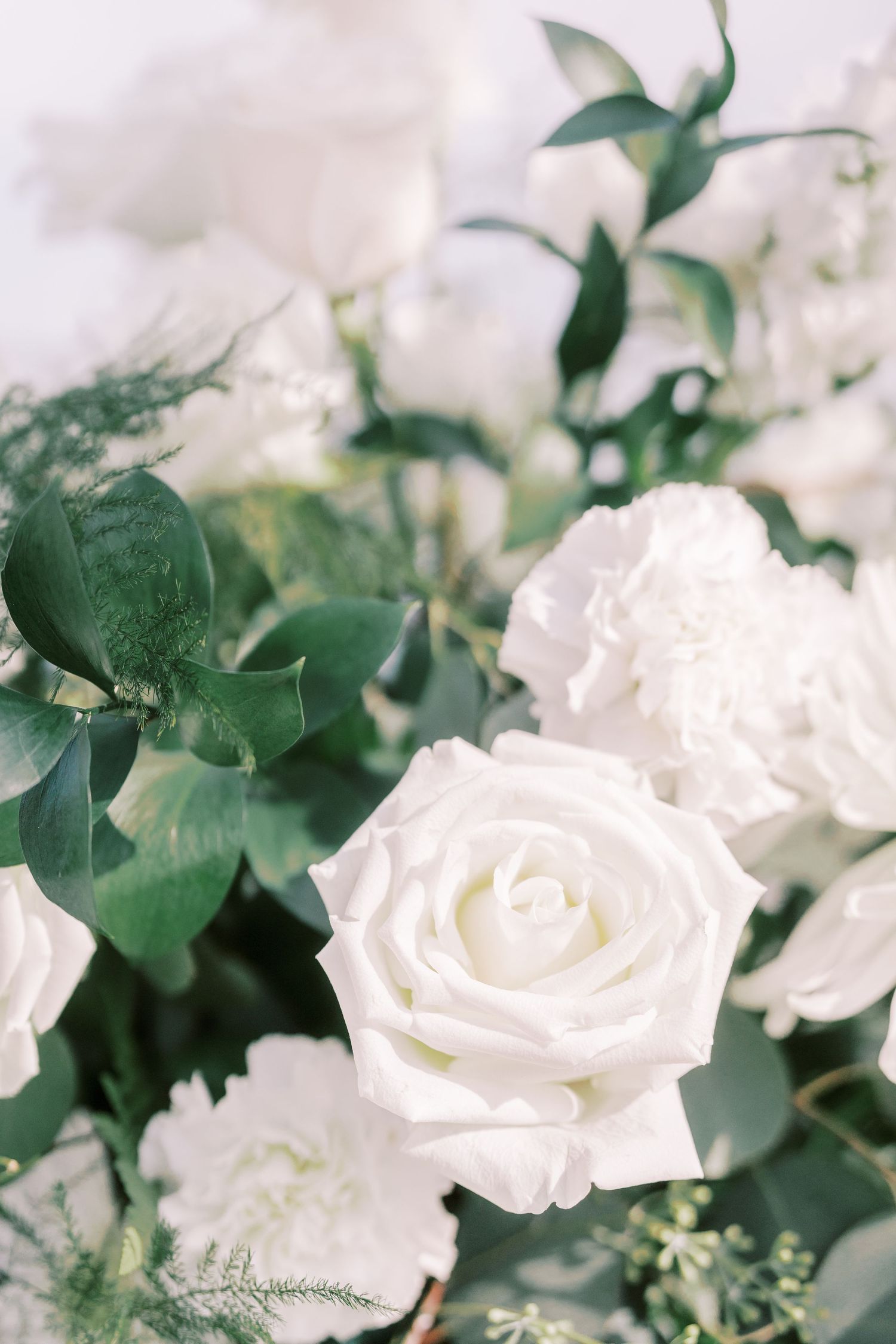Beautiful white roses with green foliage create an elegant floral arrangement against a soft light background.