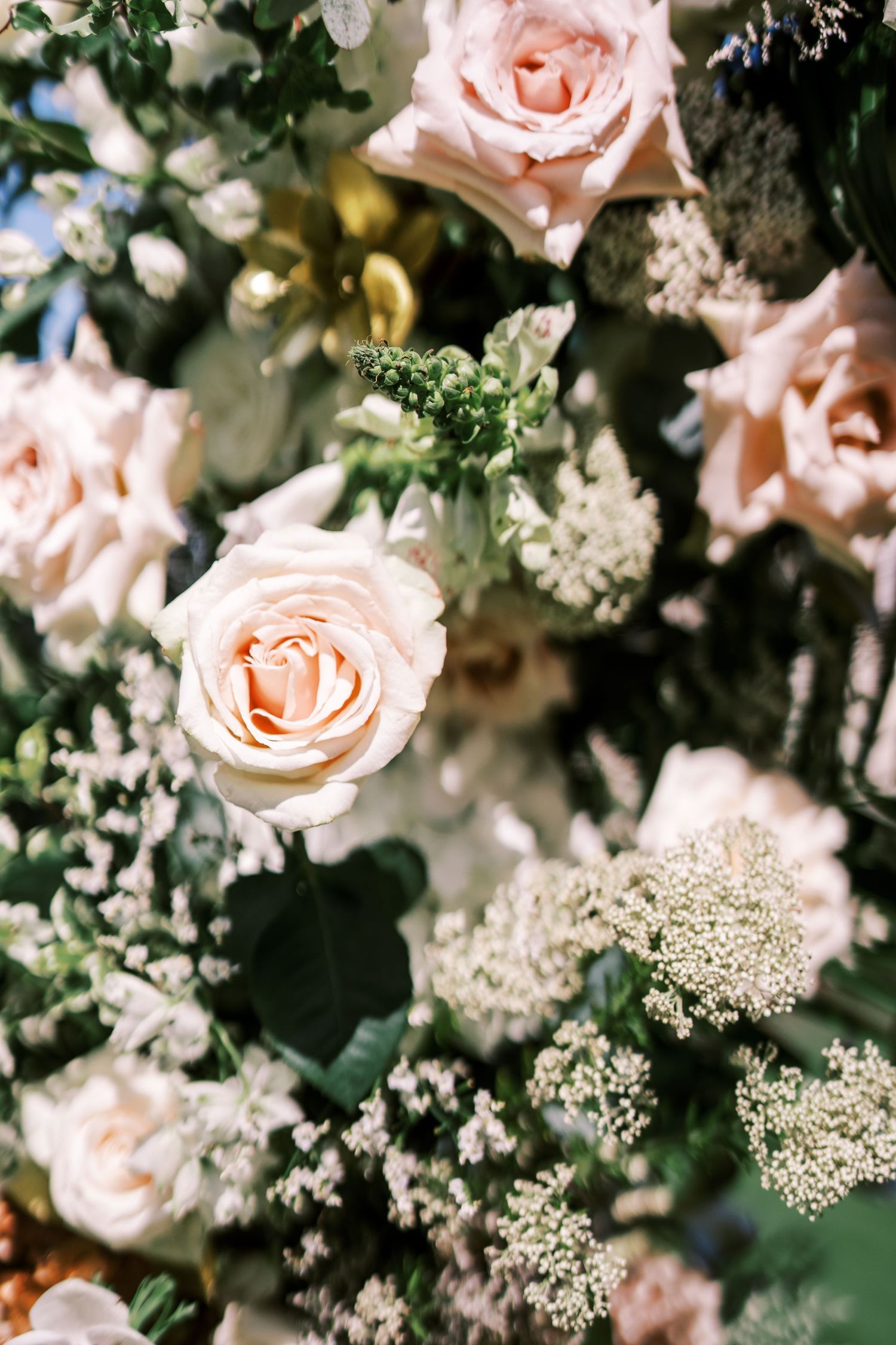 Delicate pink roses and white baby's breath flowers create a romantic floral arrangement with dark green foliage.