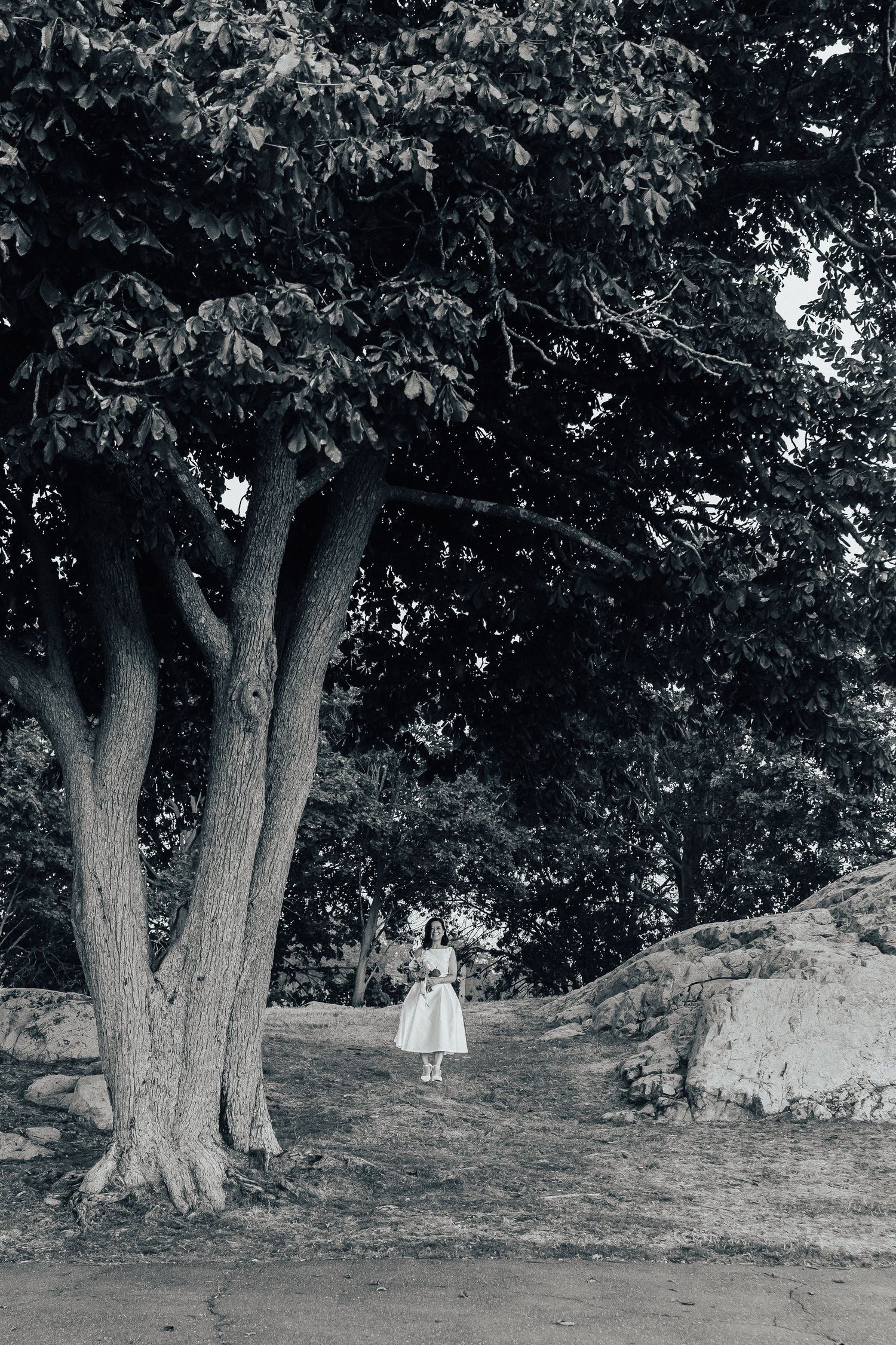 Artistic black and white outdoor scene with large trees casting shadows in natural surroundings.