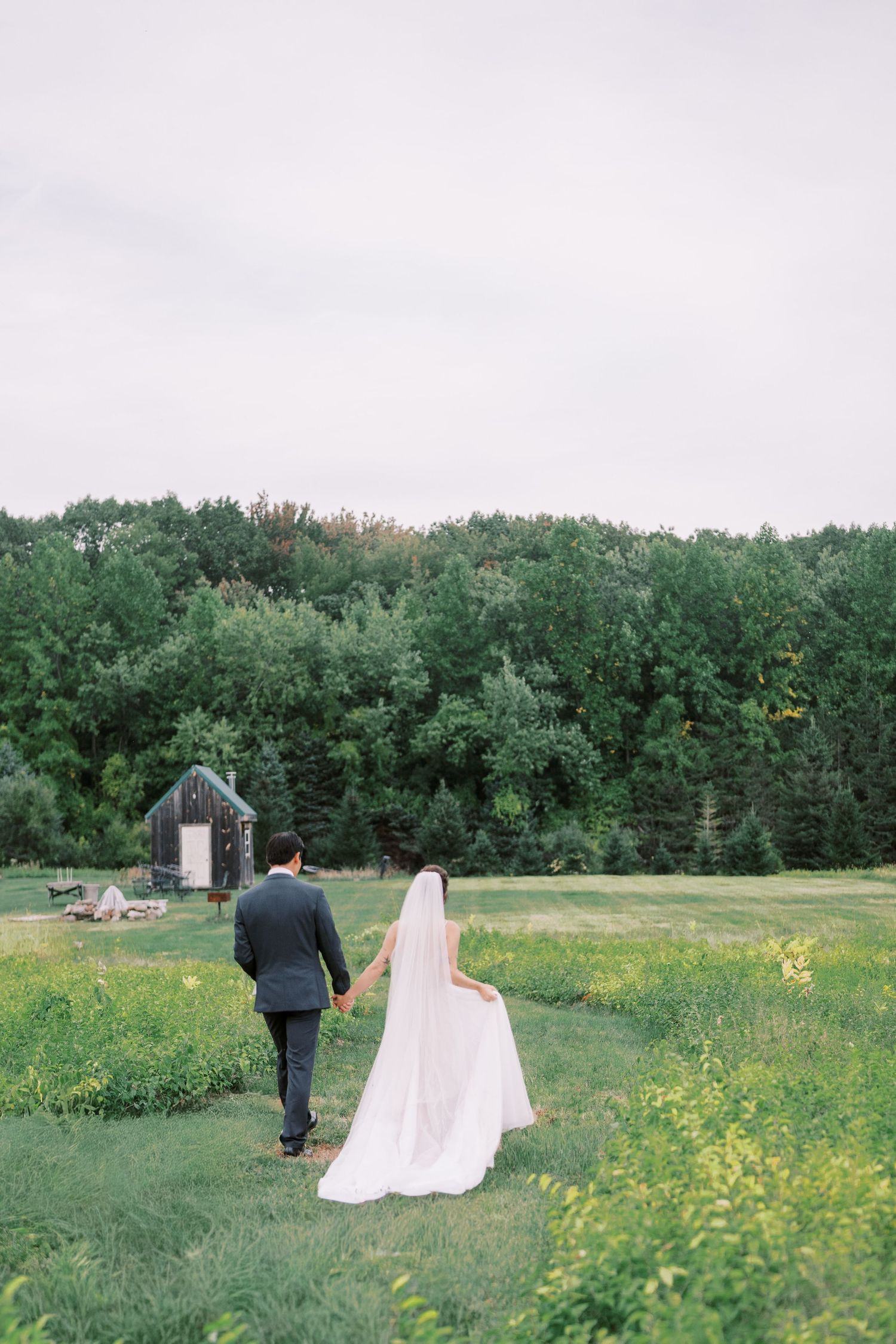Wedding couple walks through sunny meadow with forest backdrop.