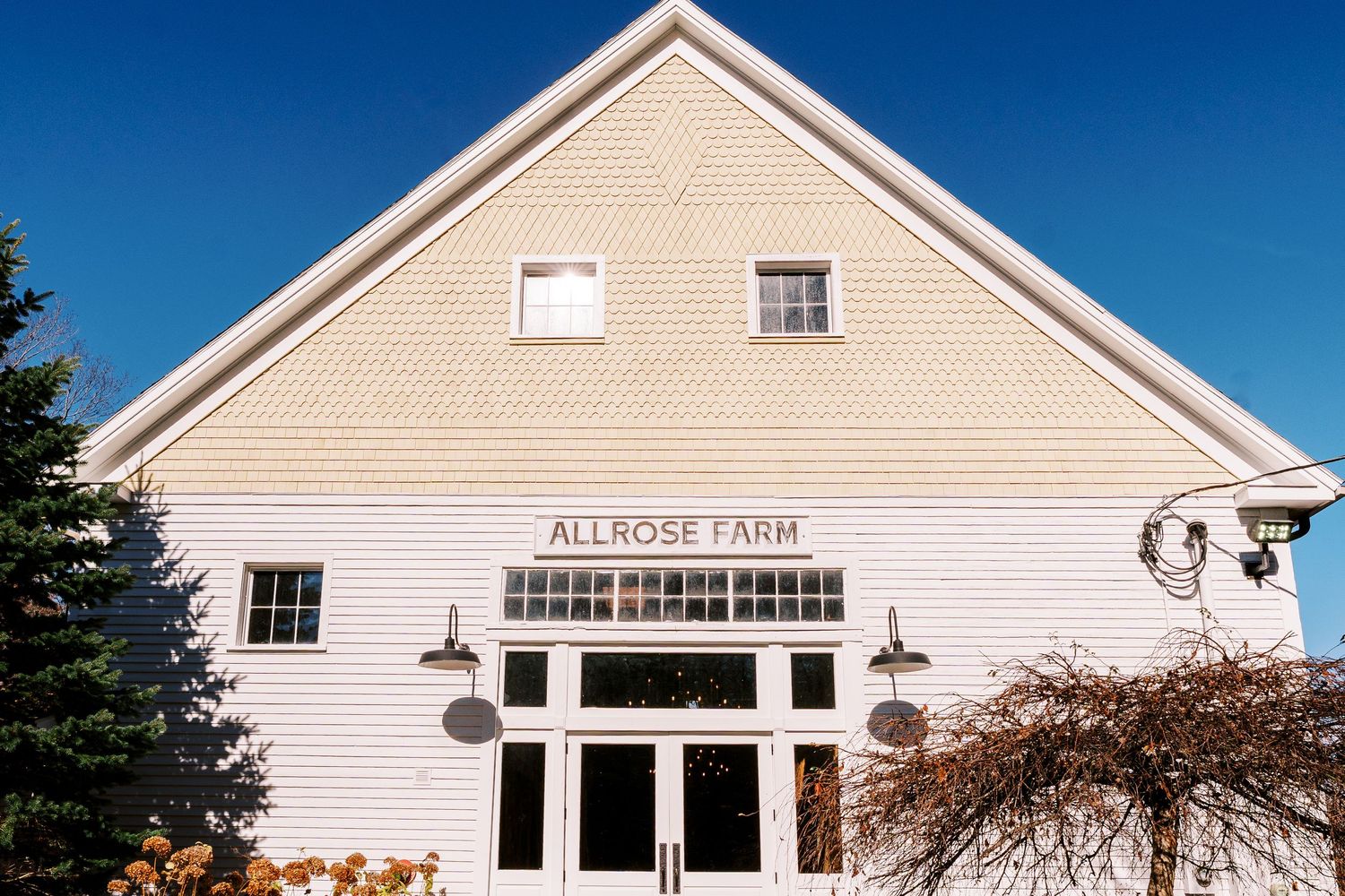 A series of white farm buildings and barns with 'All Horse Farm' signage against a bright blue sky.